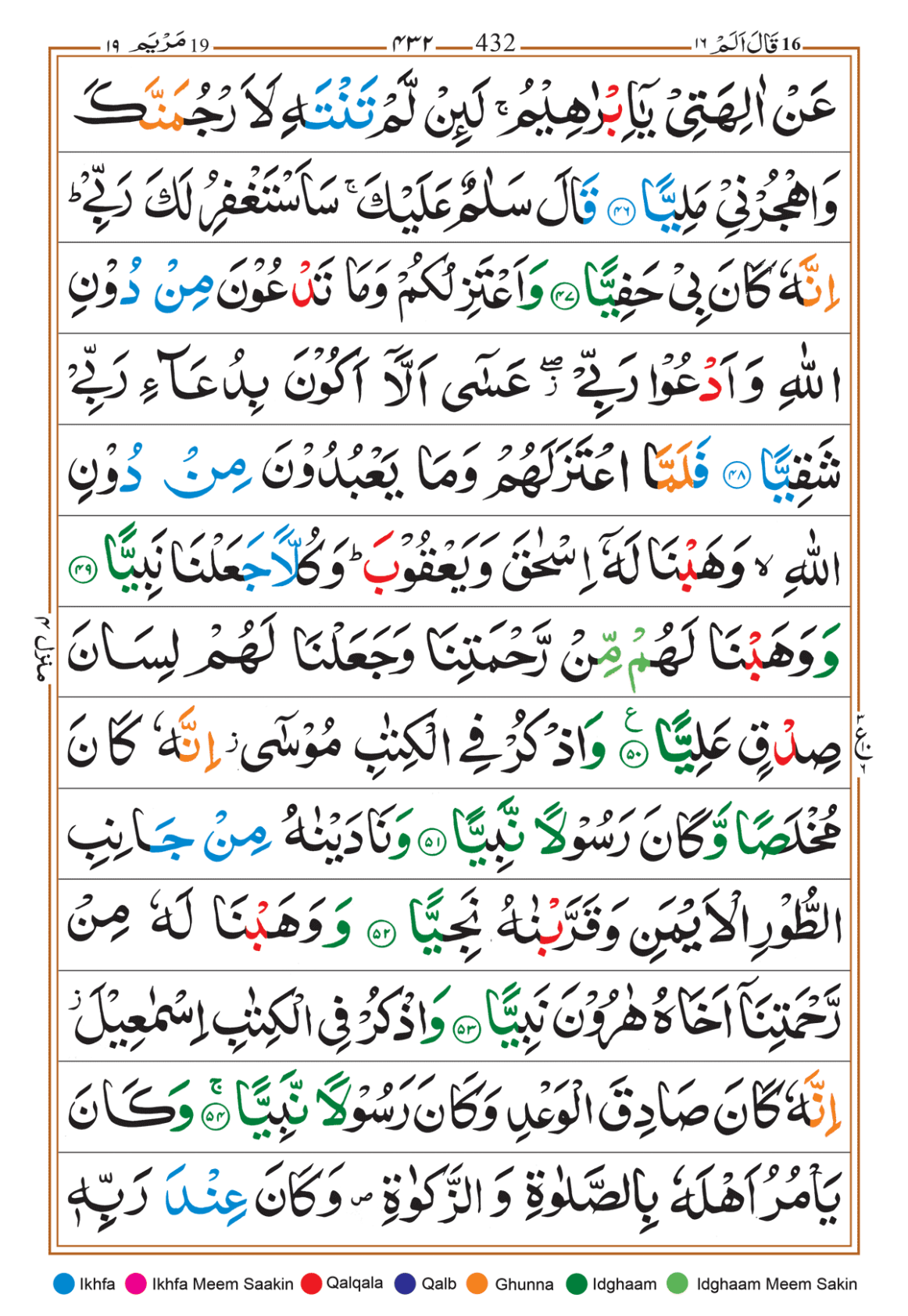 Page Background