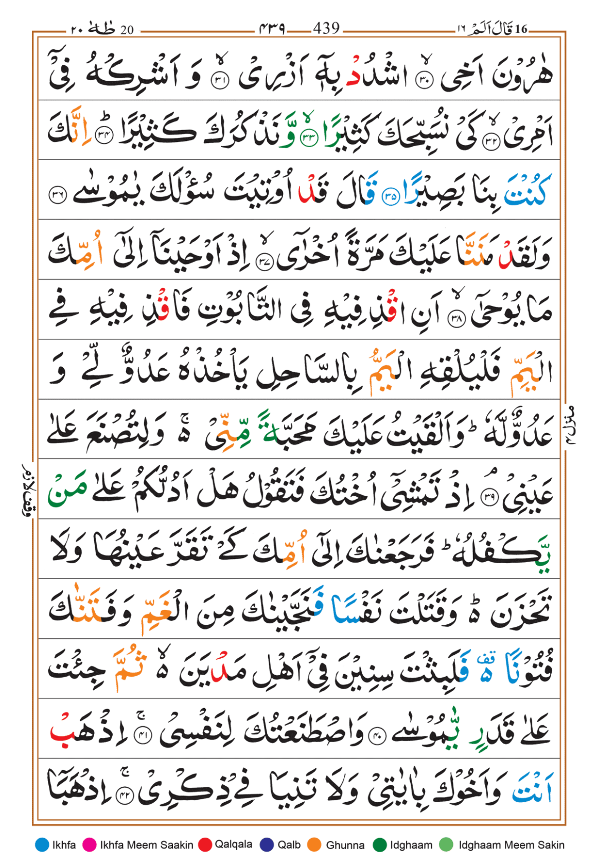 Page Background