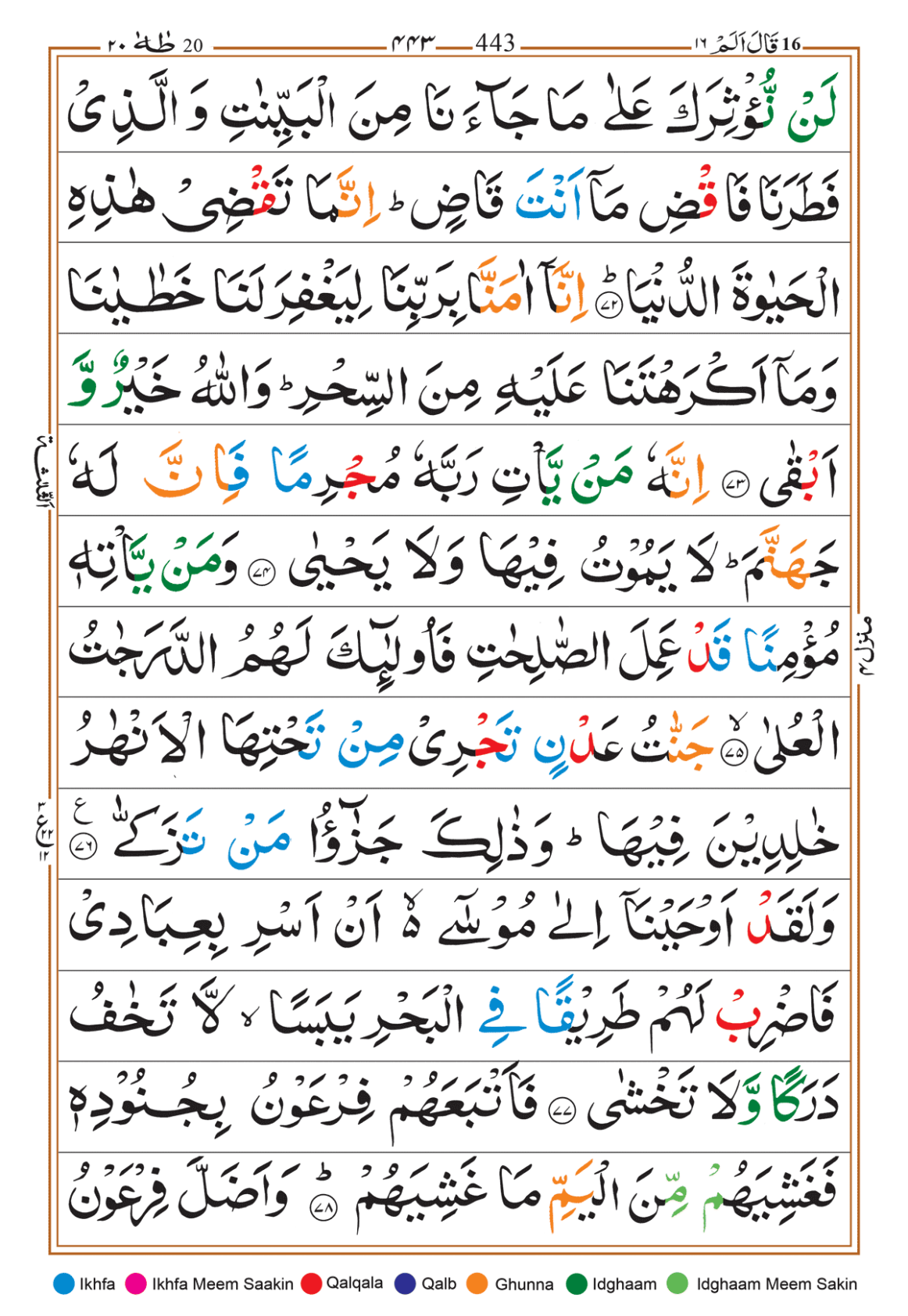 Page Background