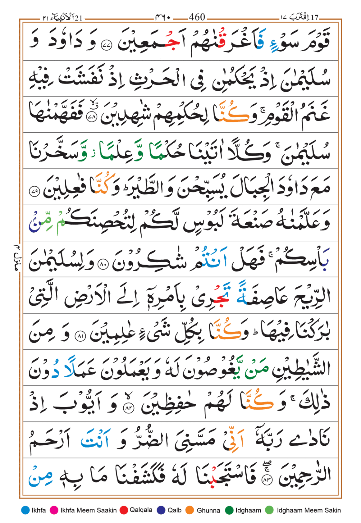 Page Background