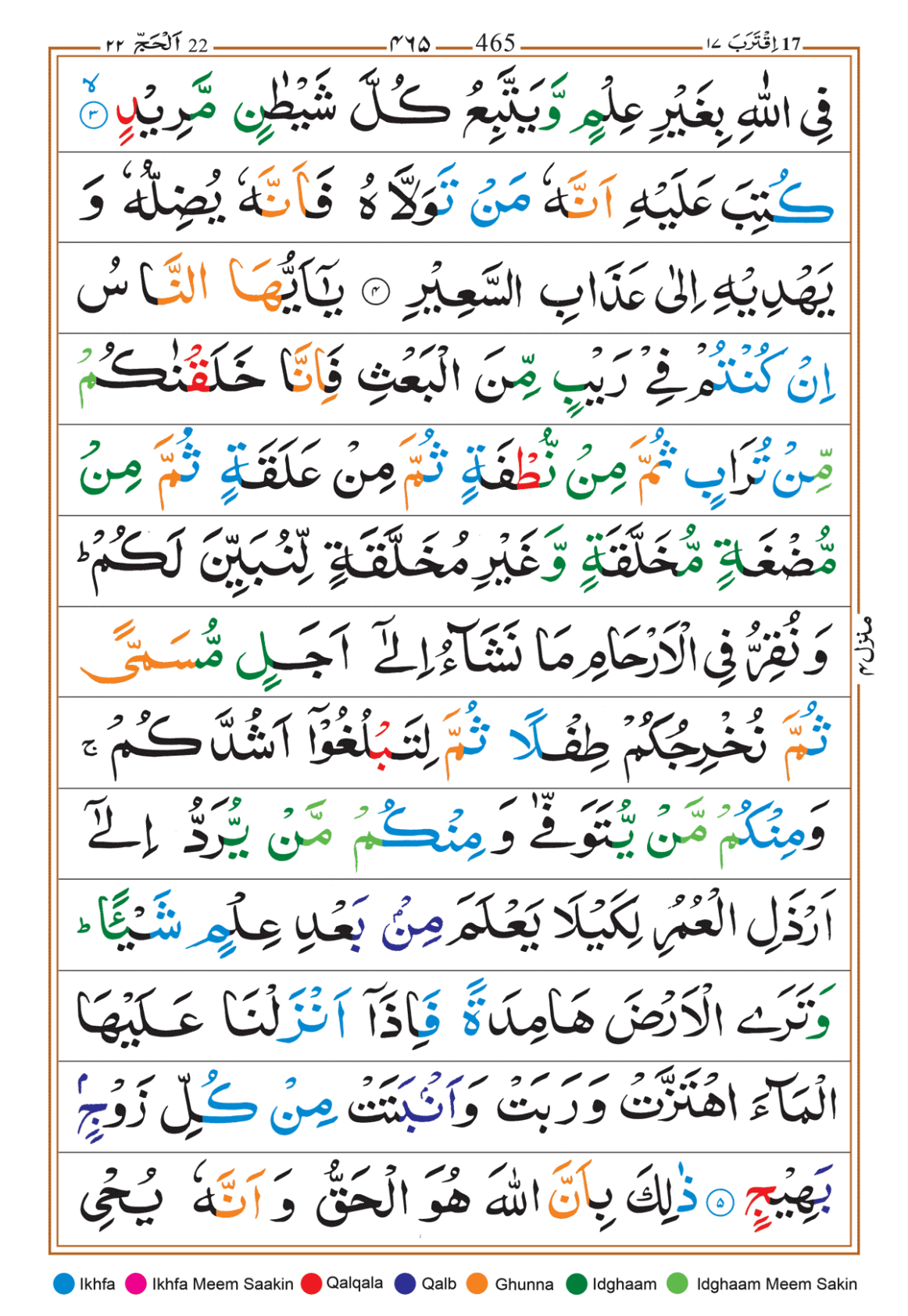 Page Background