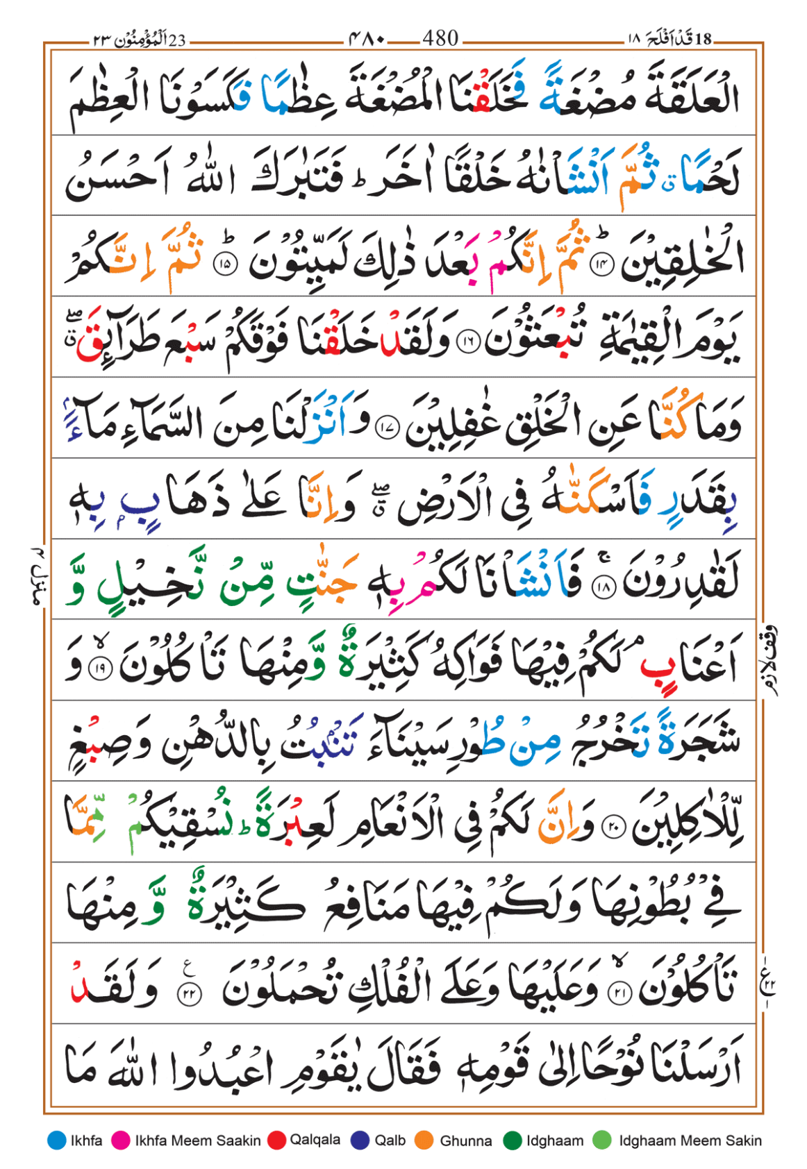 Page Background
