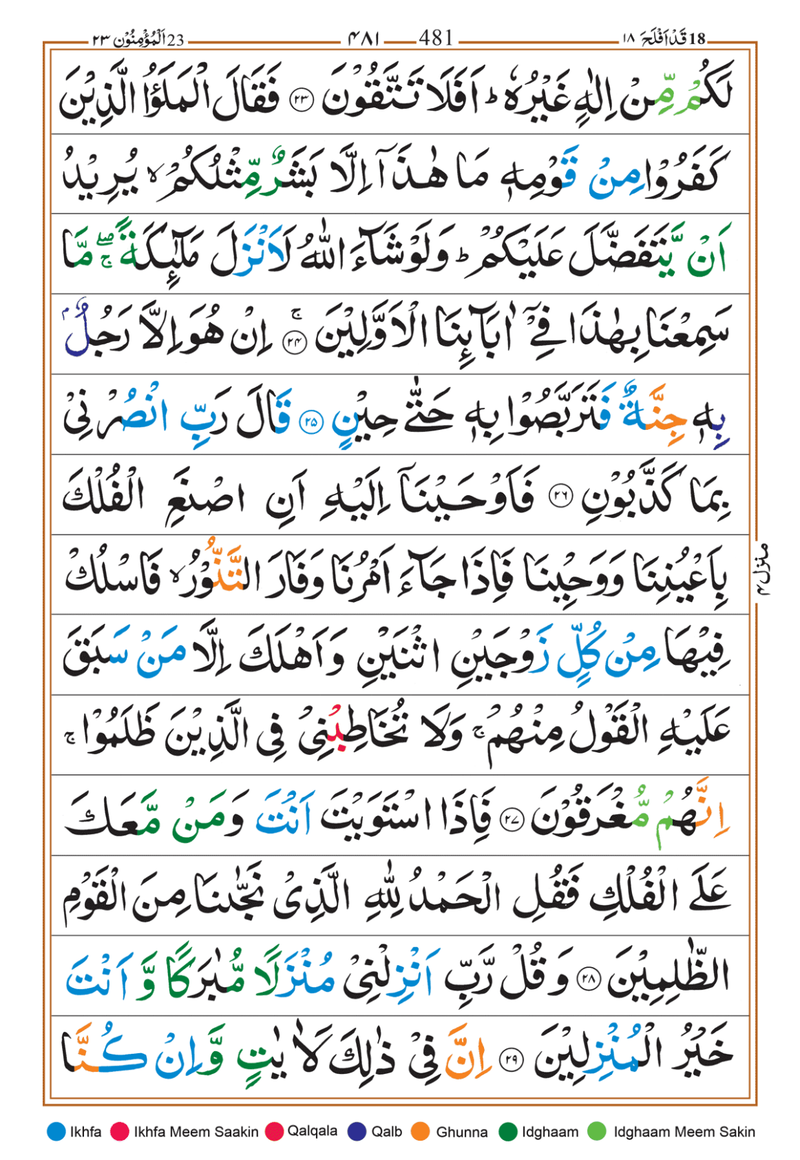 Page Background