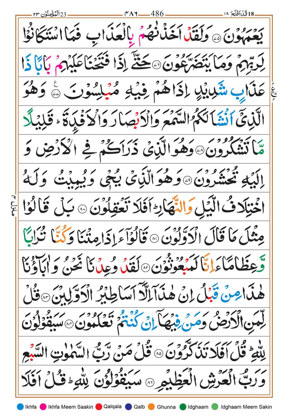 Page Background
