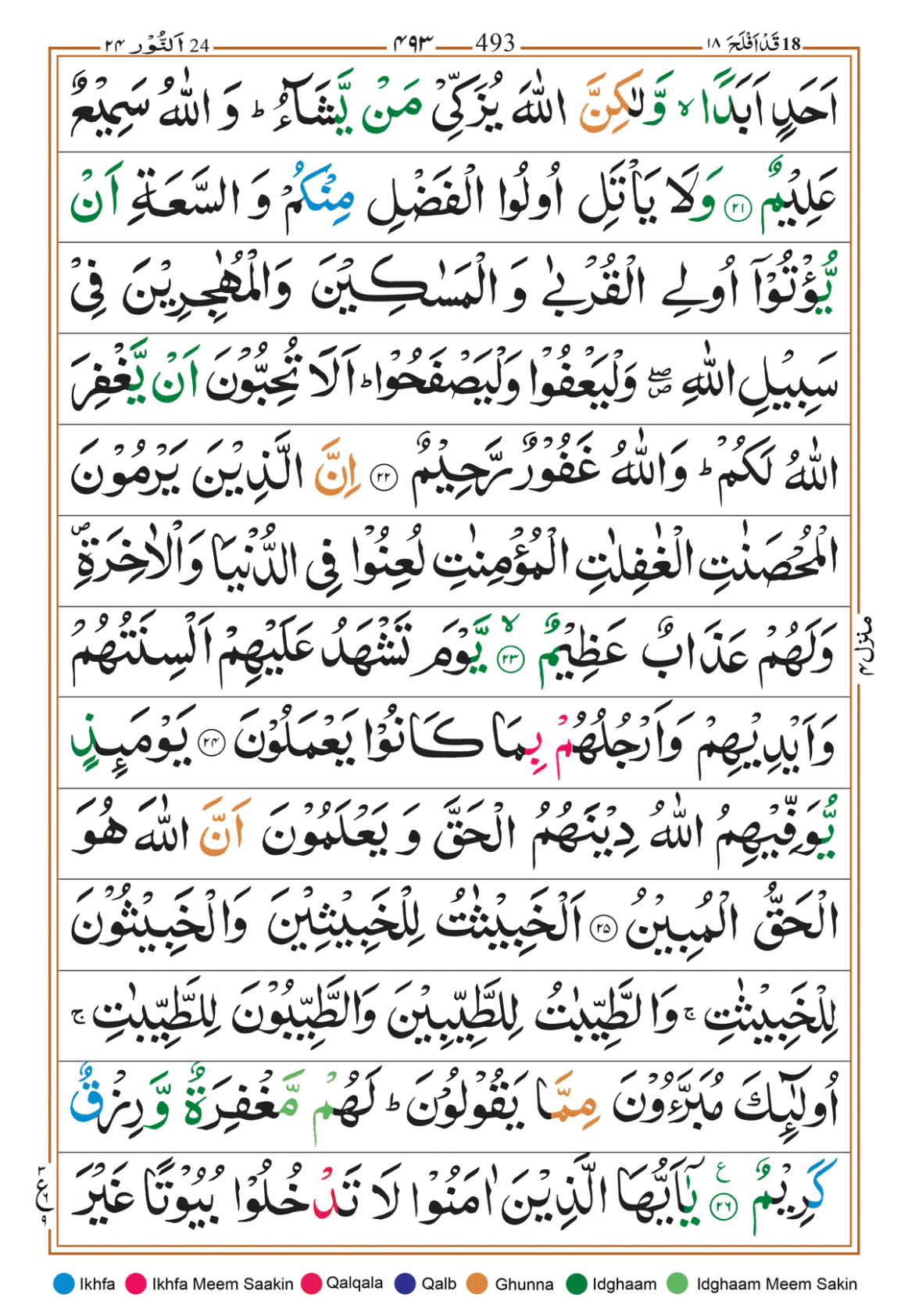 Page Background