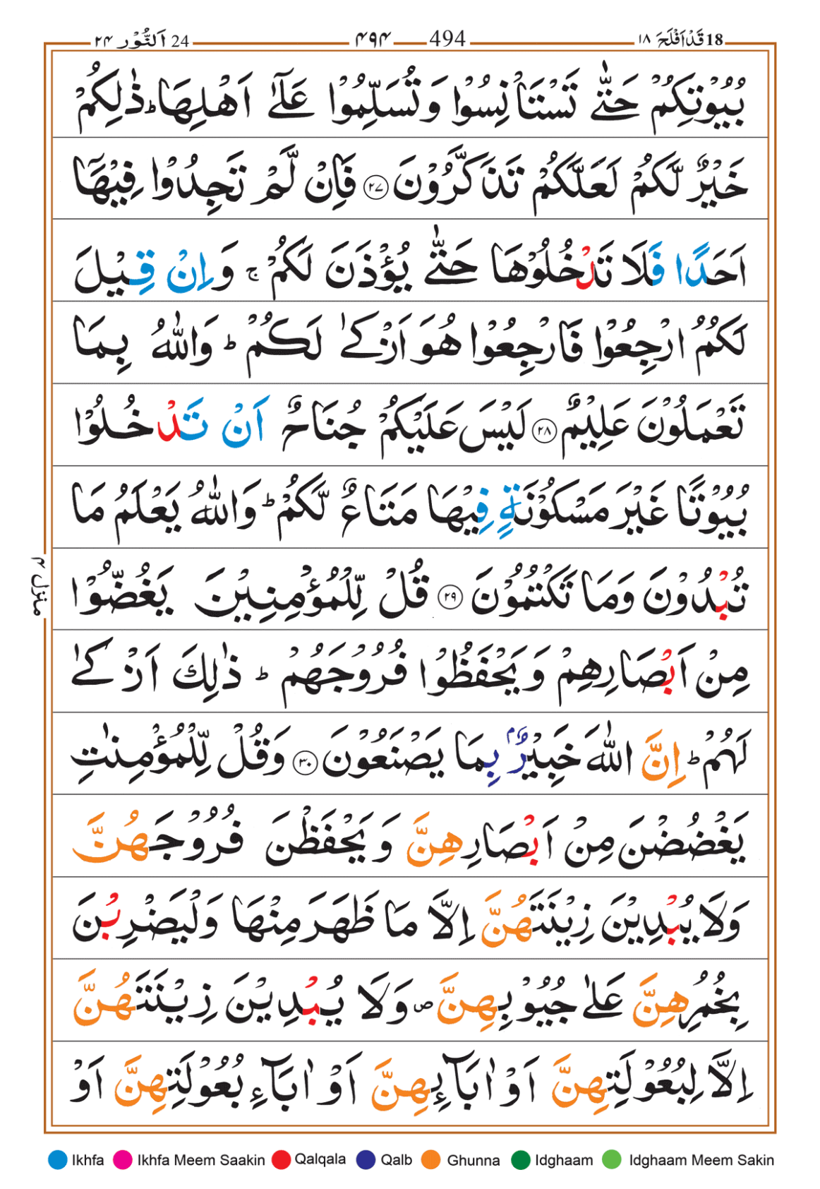 Page Background