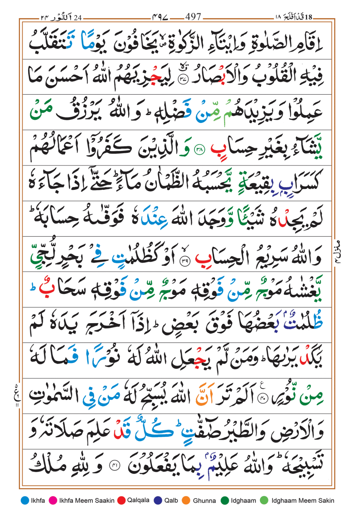 Page Background