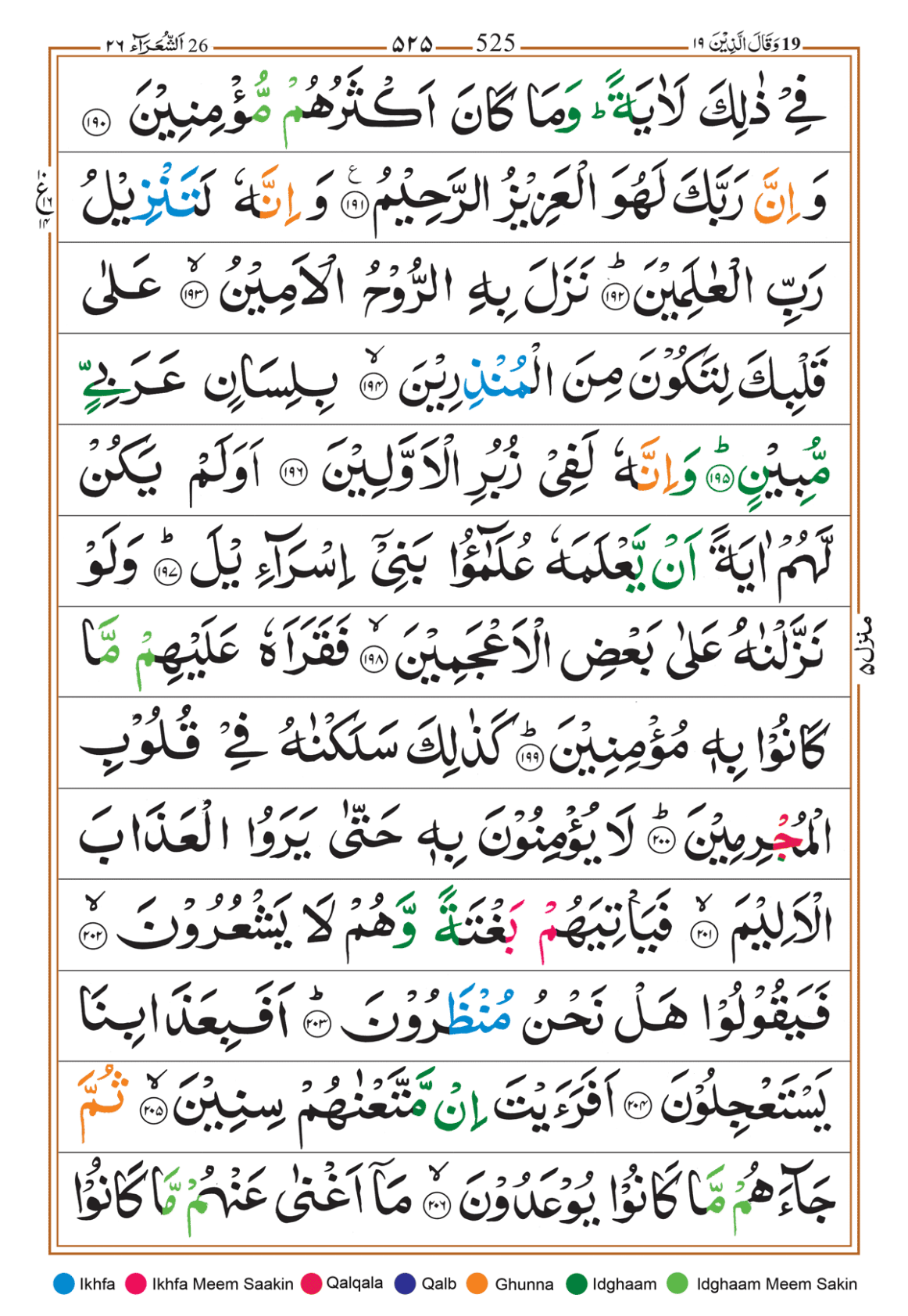 Page Background