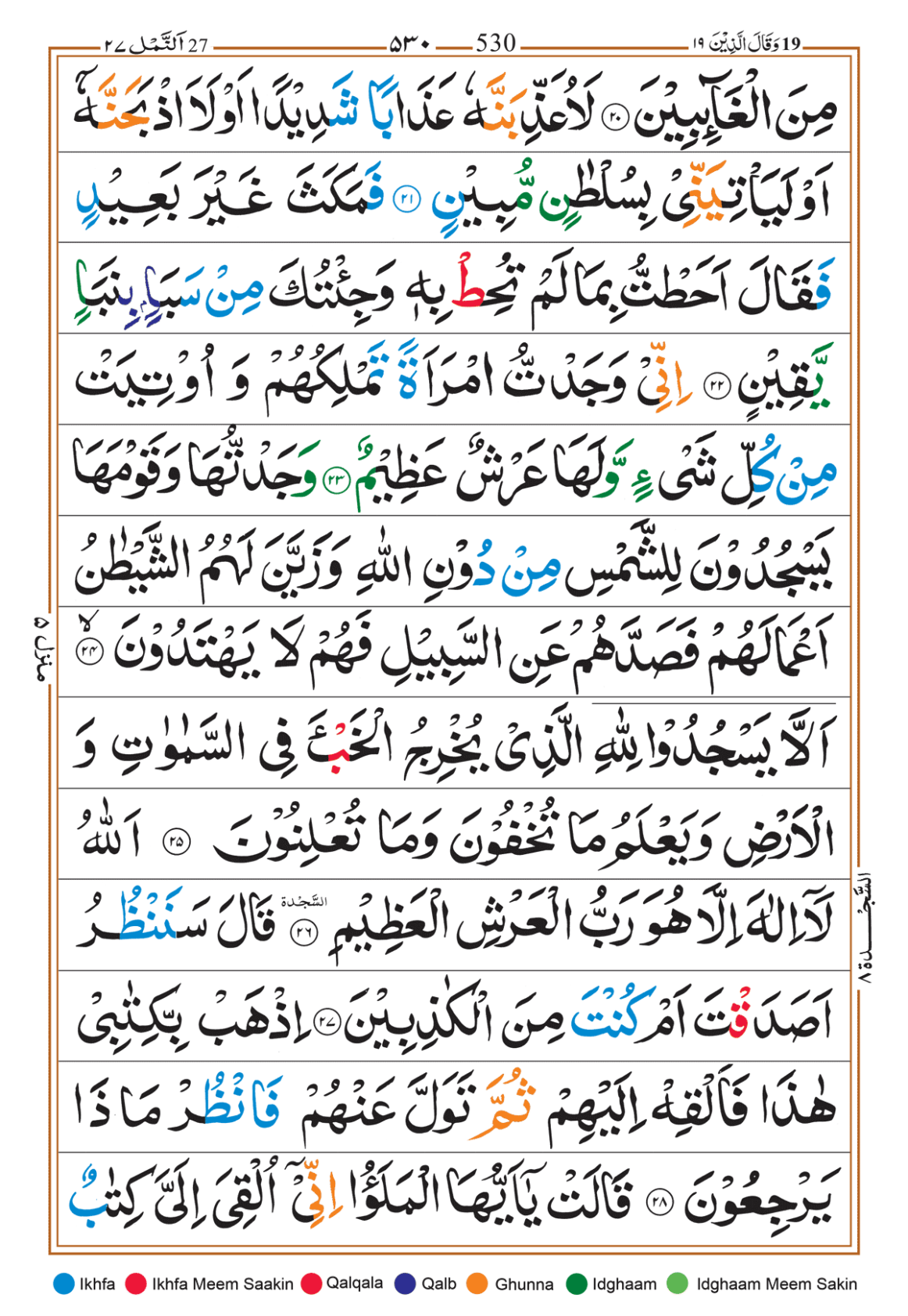 Page Background