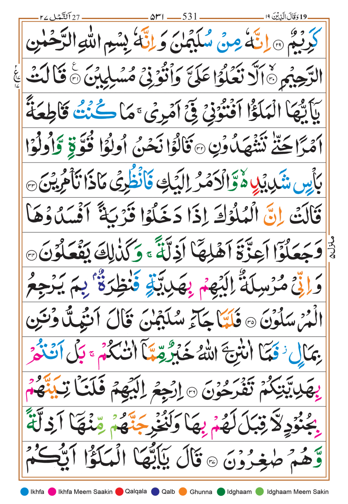 Page Background