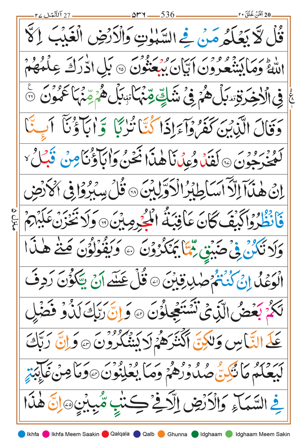 Page Background
