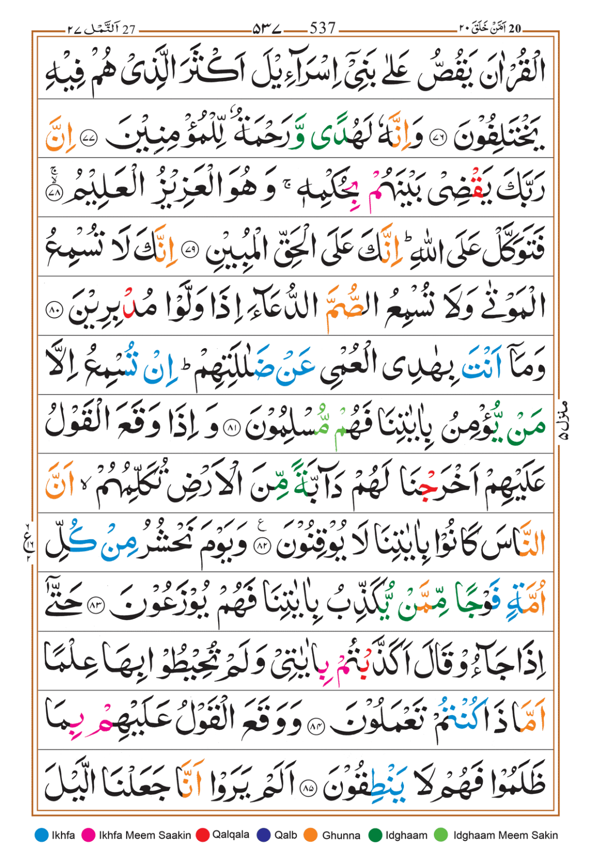 Page Background