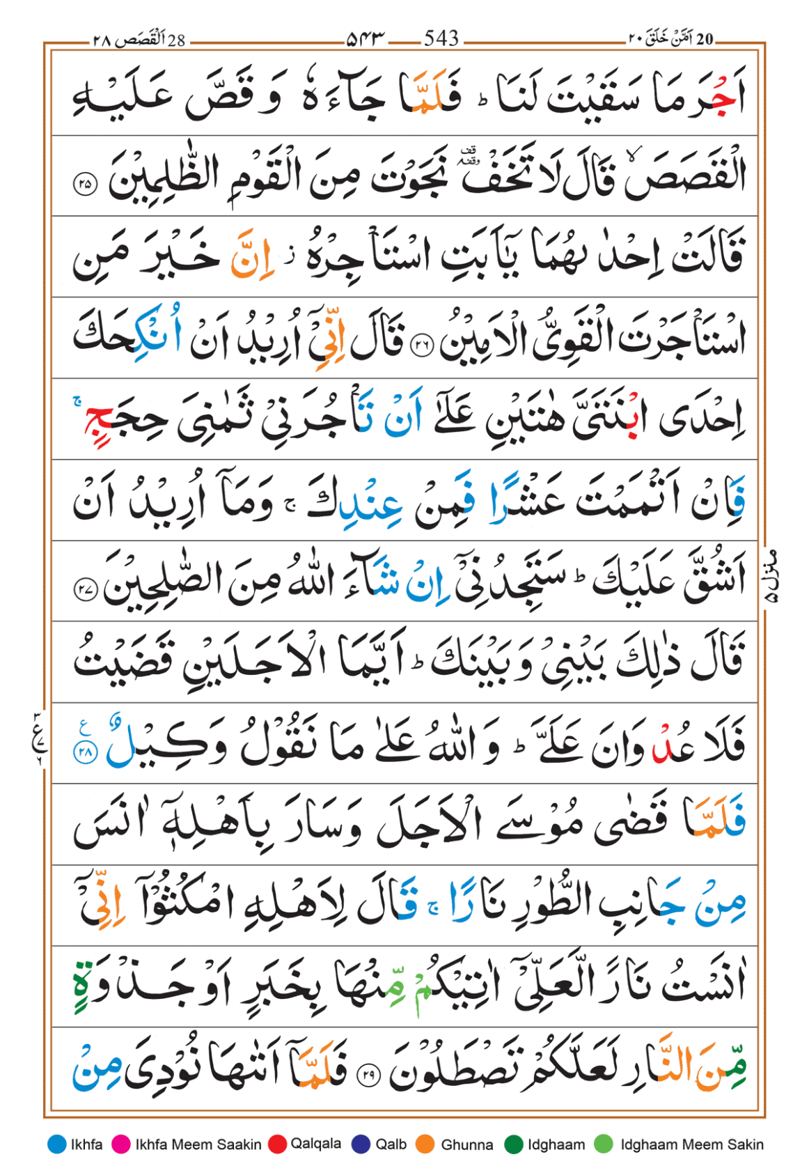 Page Background