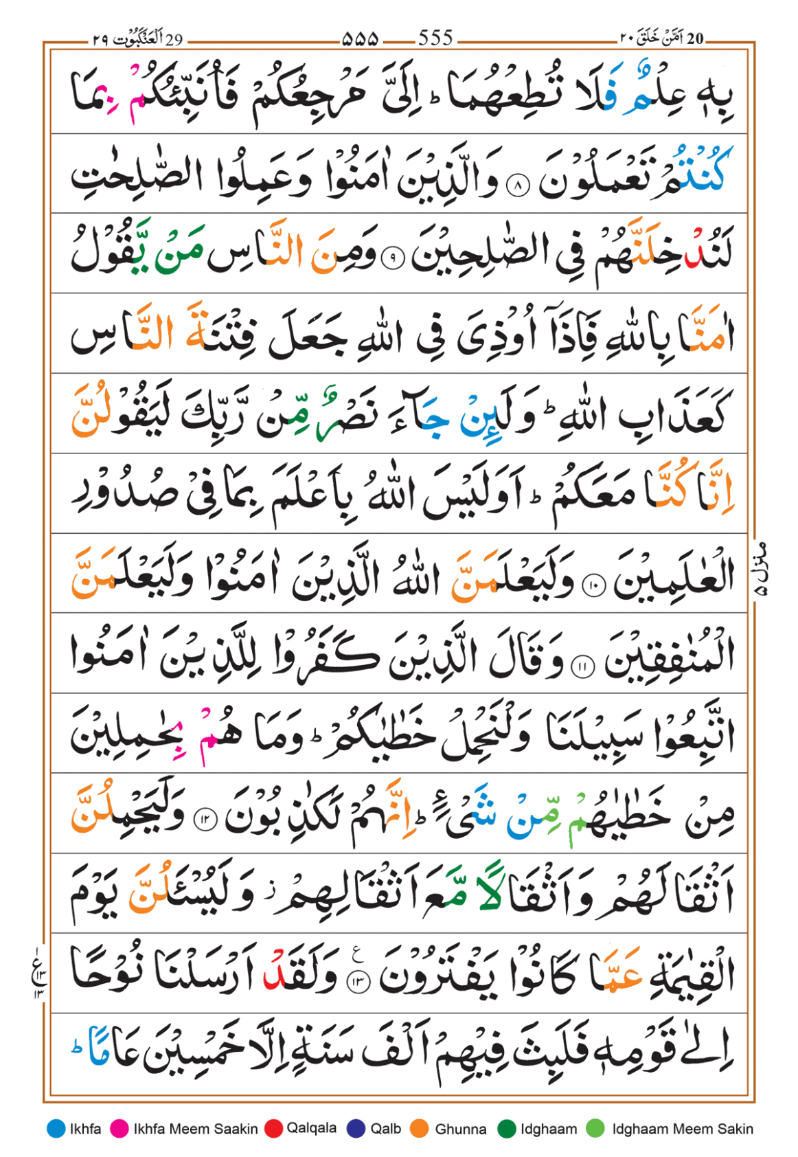 Page Background