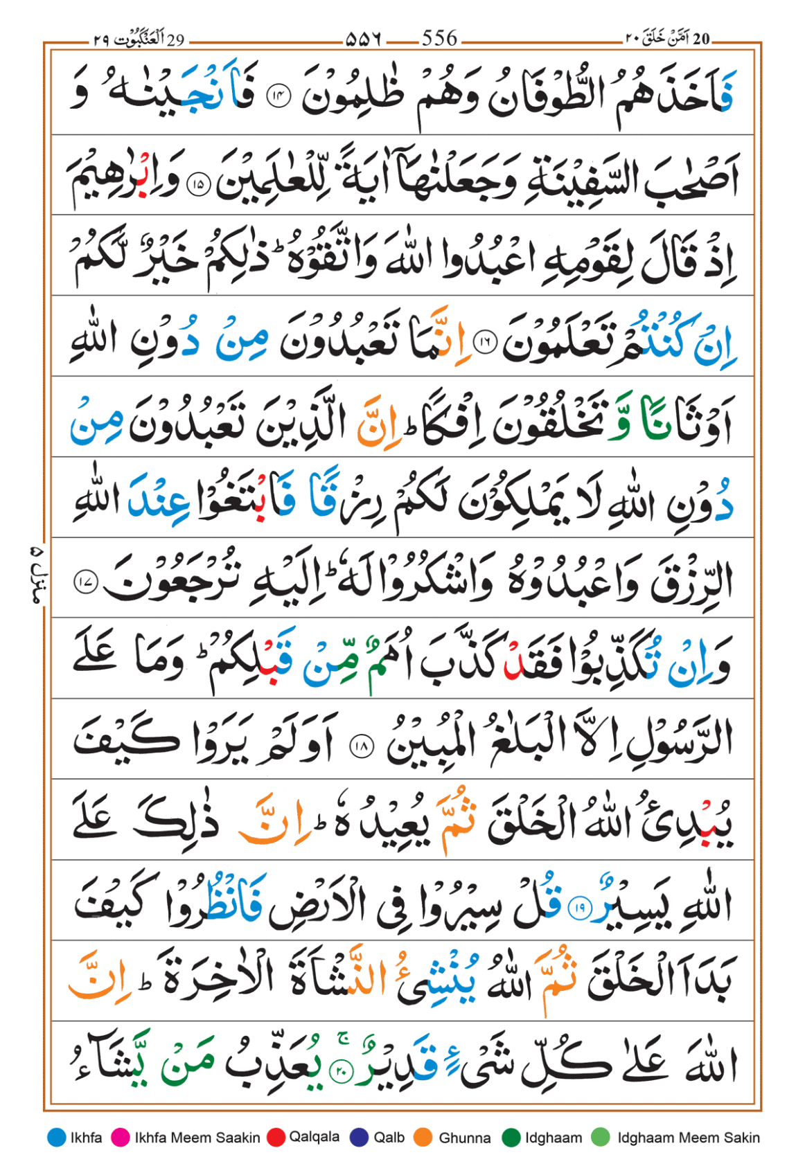 Page Background