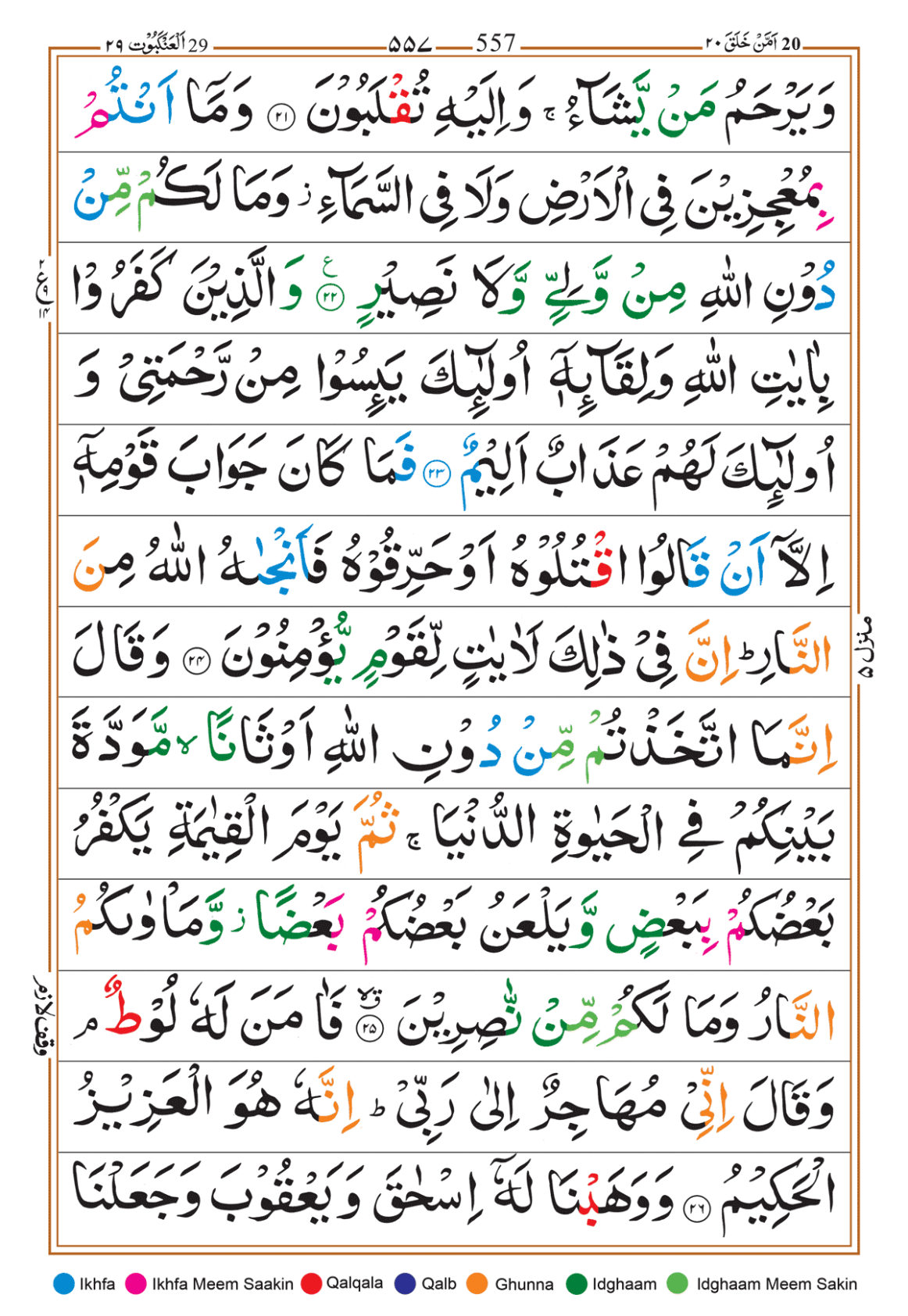 Page Background