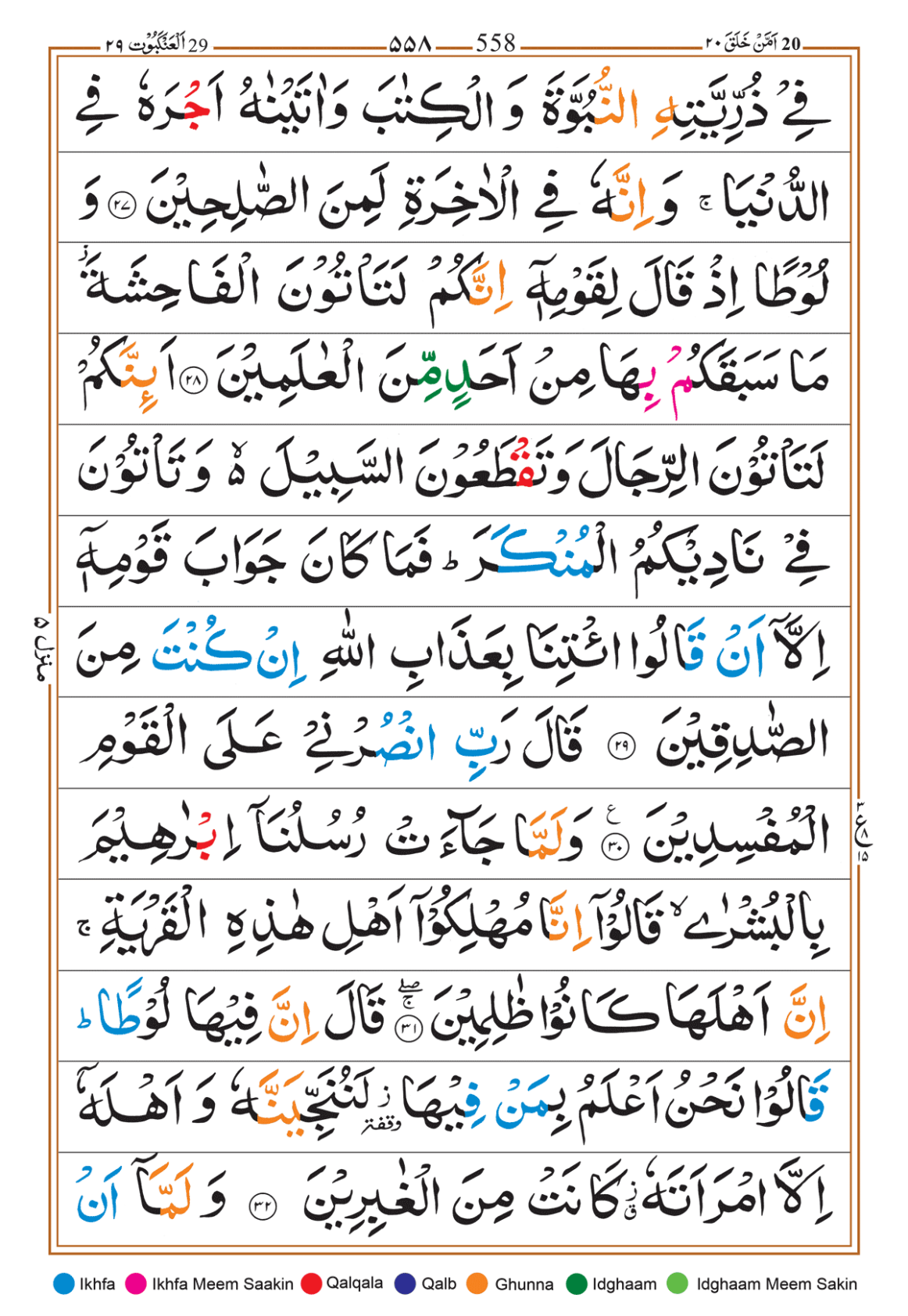 Page Background