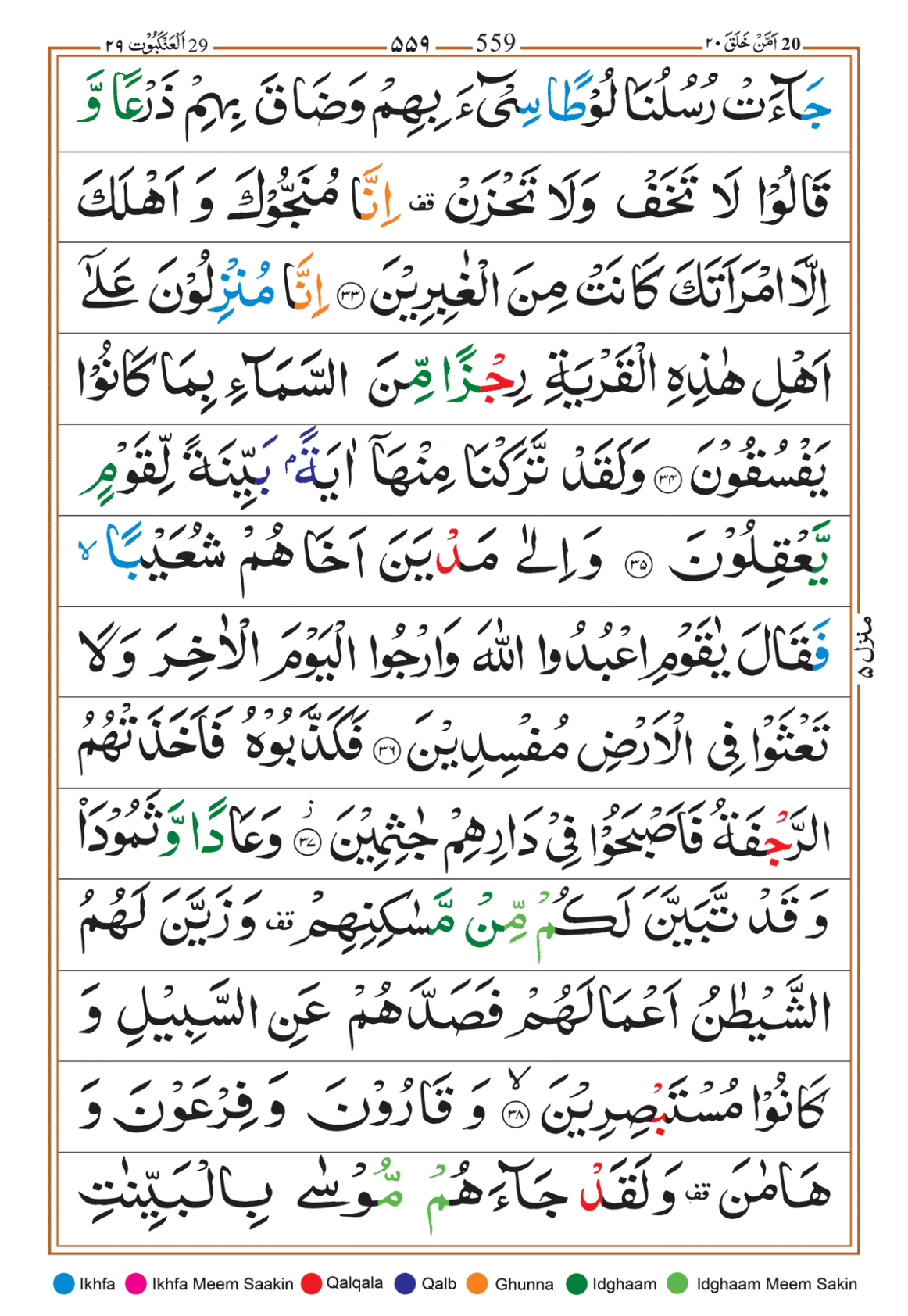 Page Background