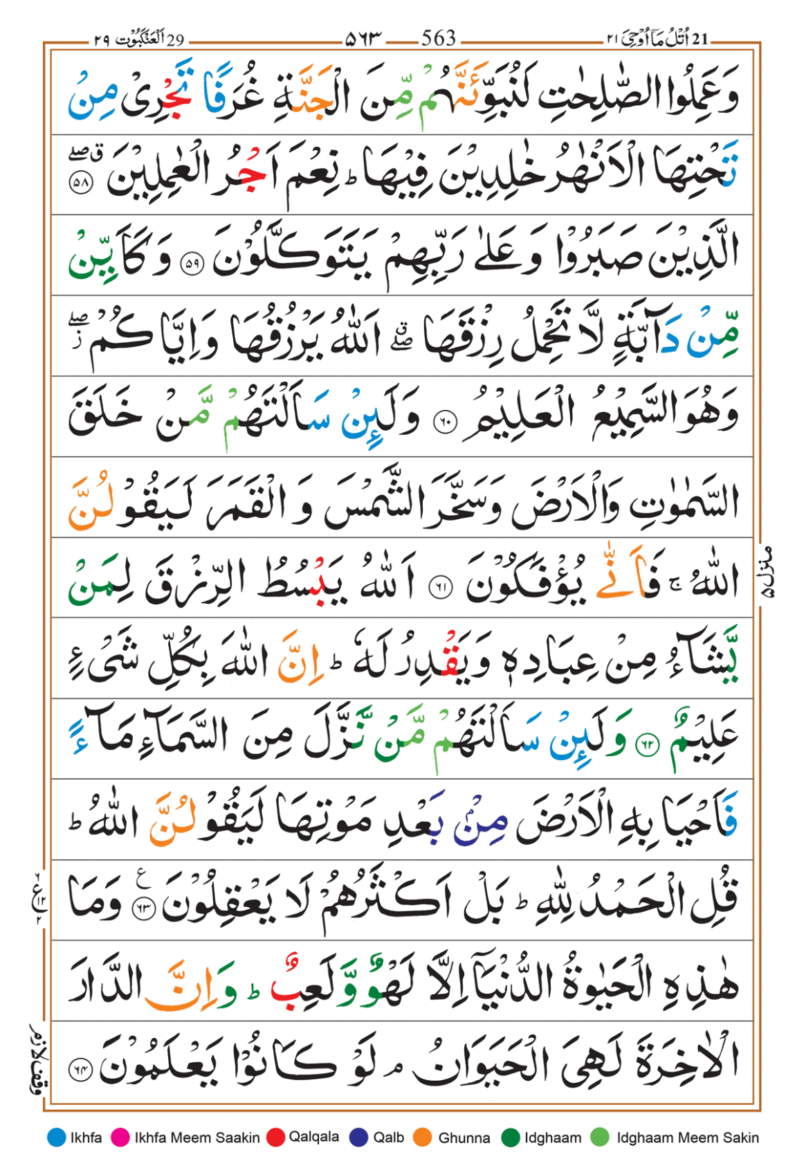 Page Background