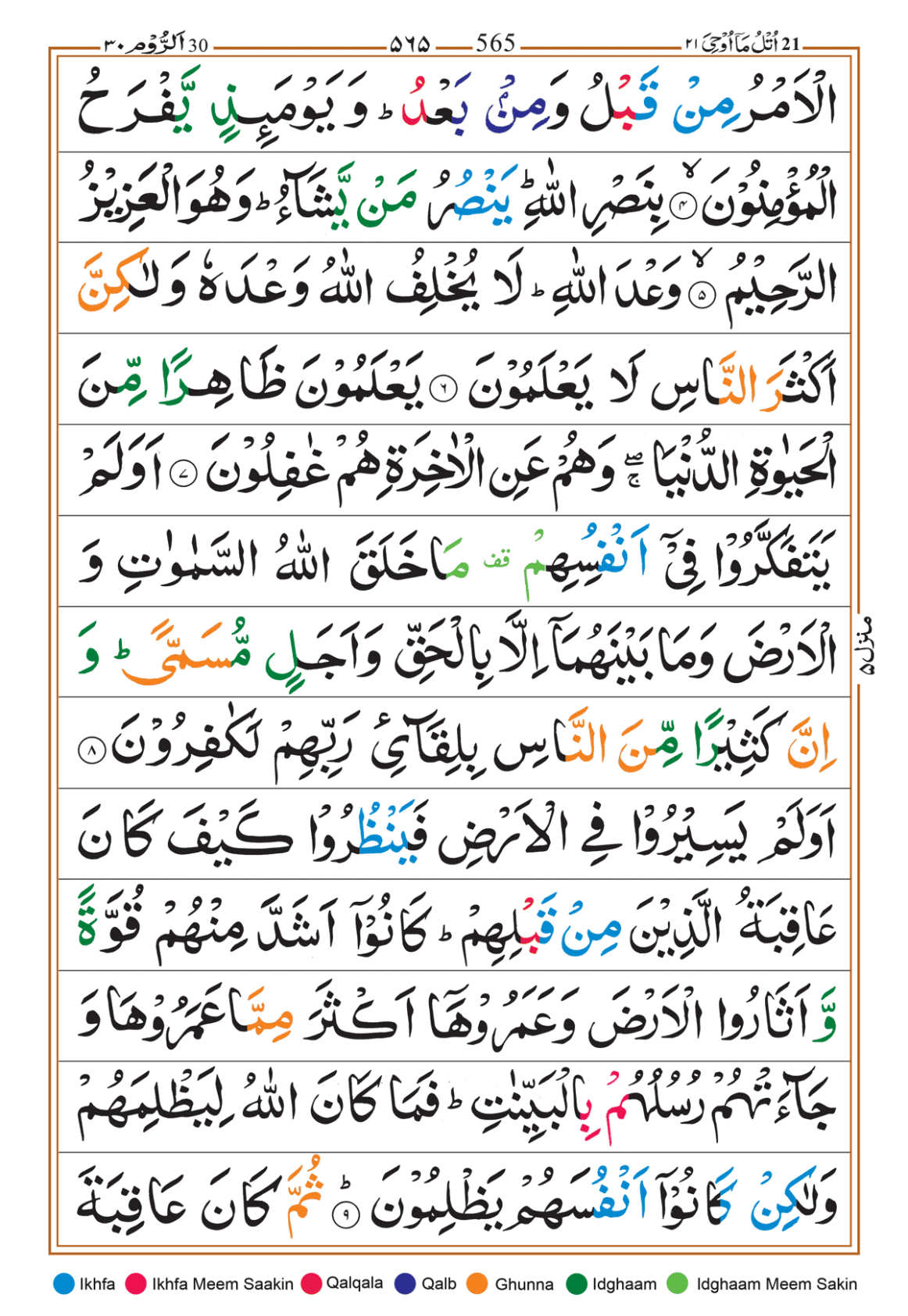Page Background