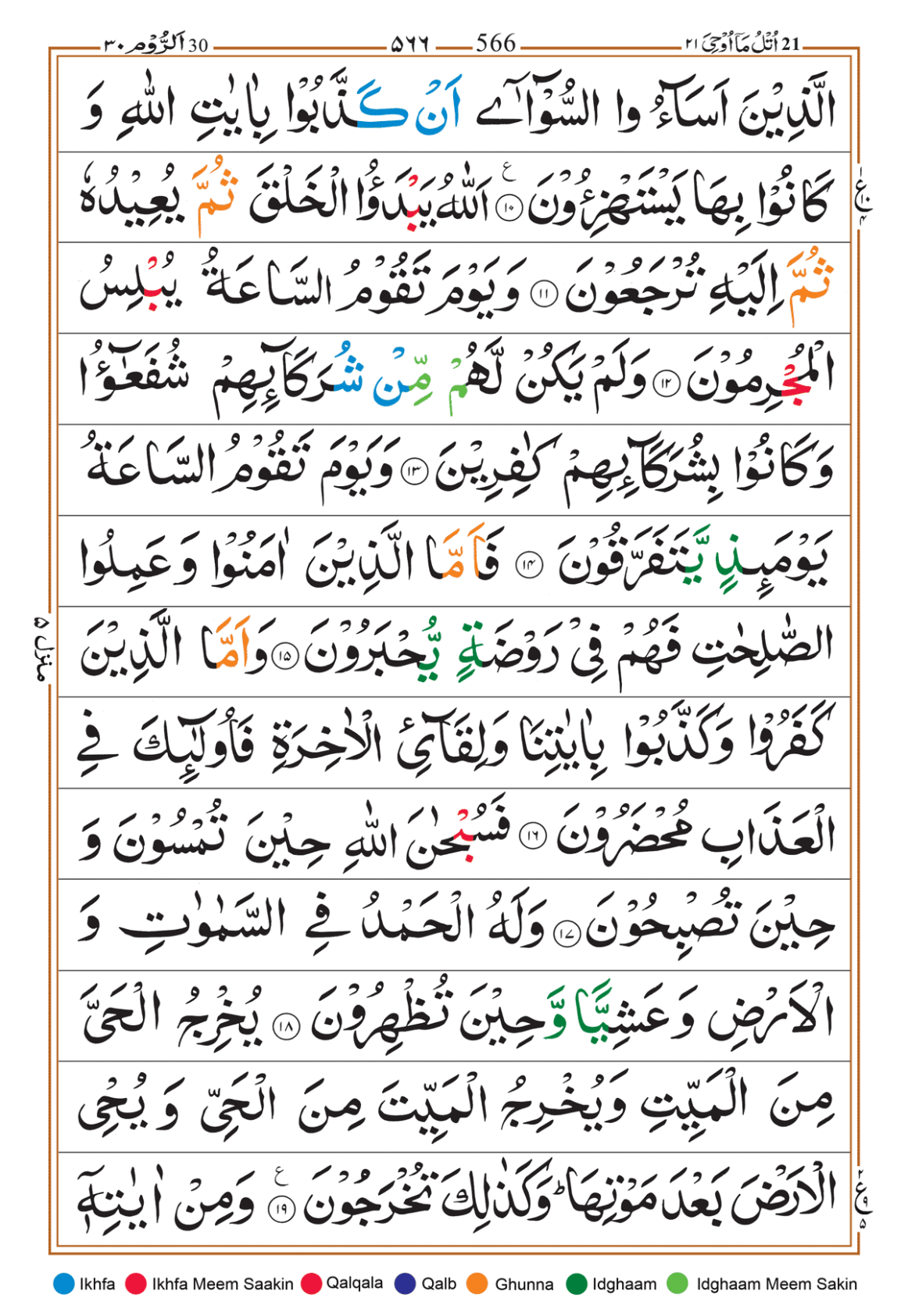 Page Background