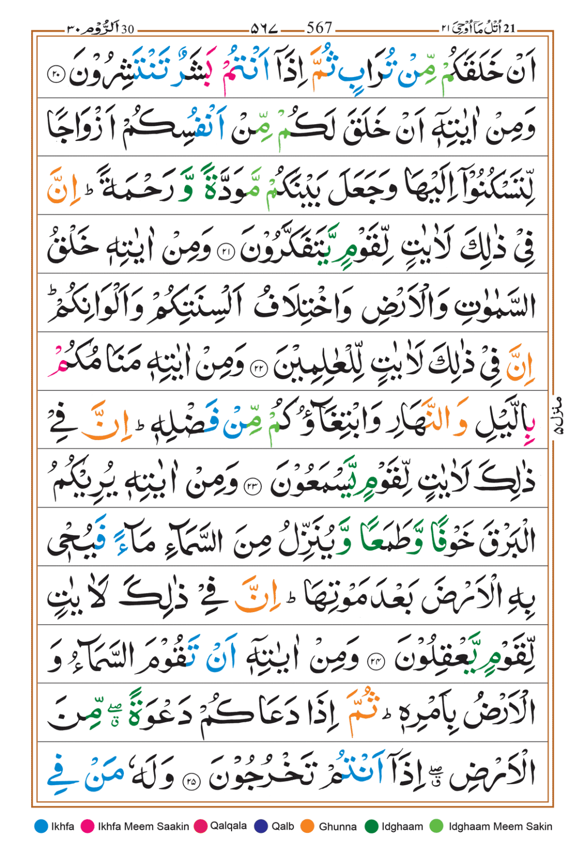 Page Background