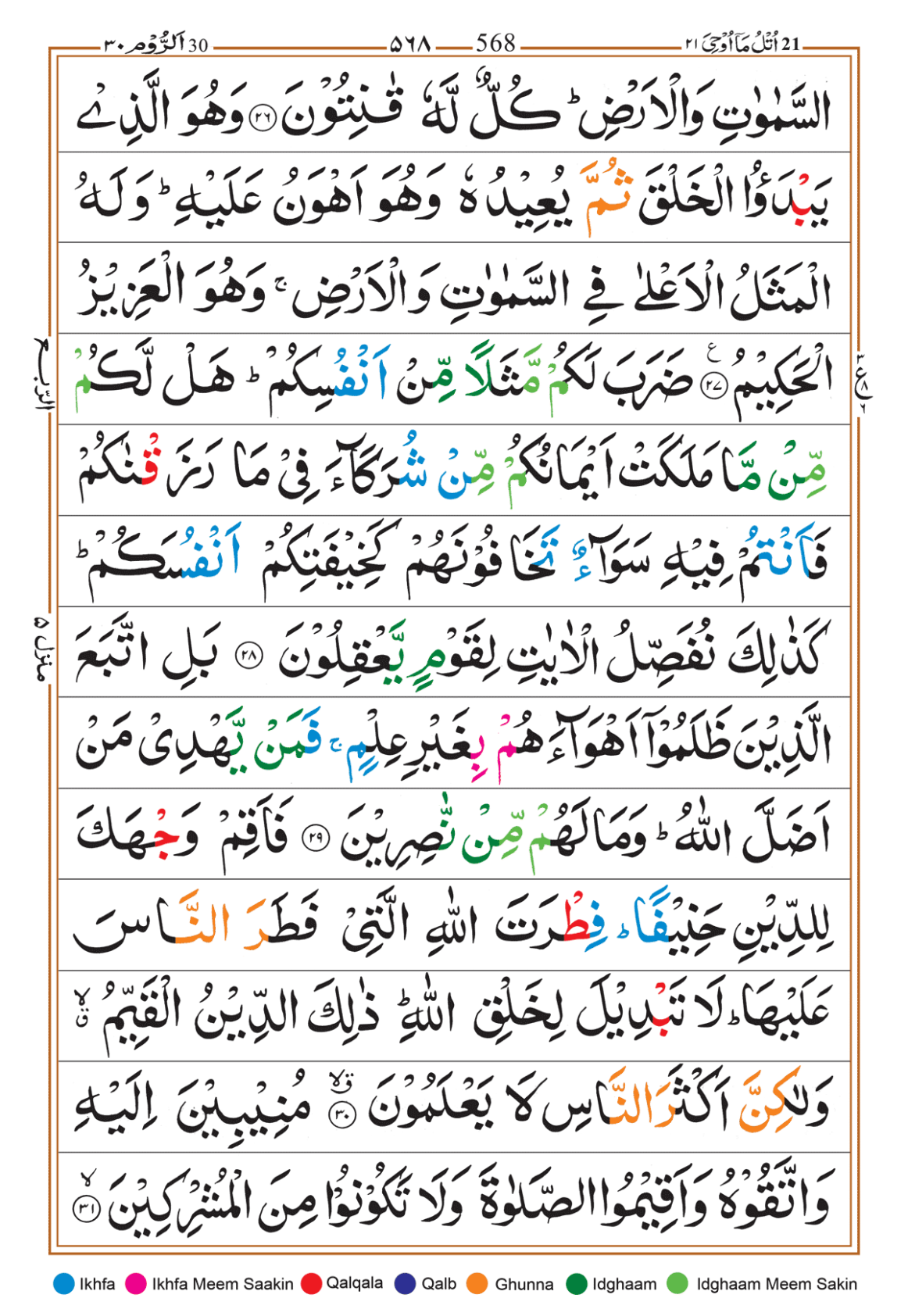 Page Background