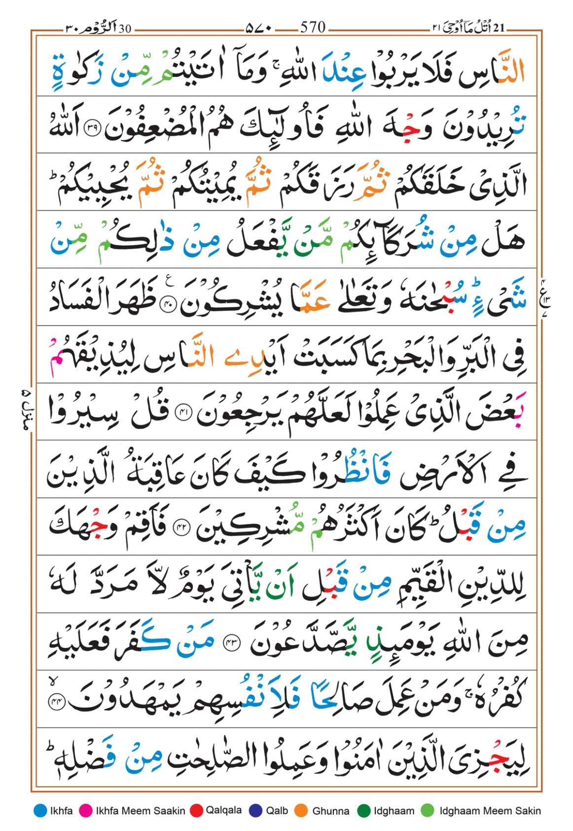 Page Background