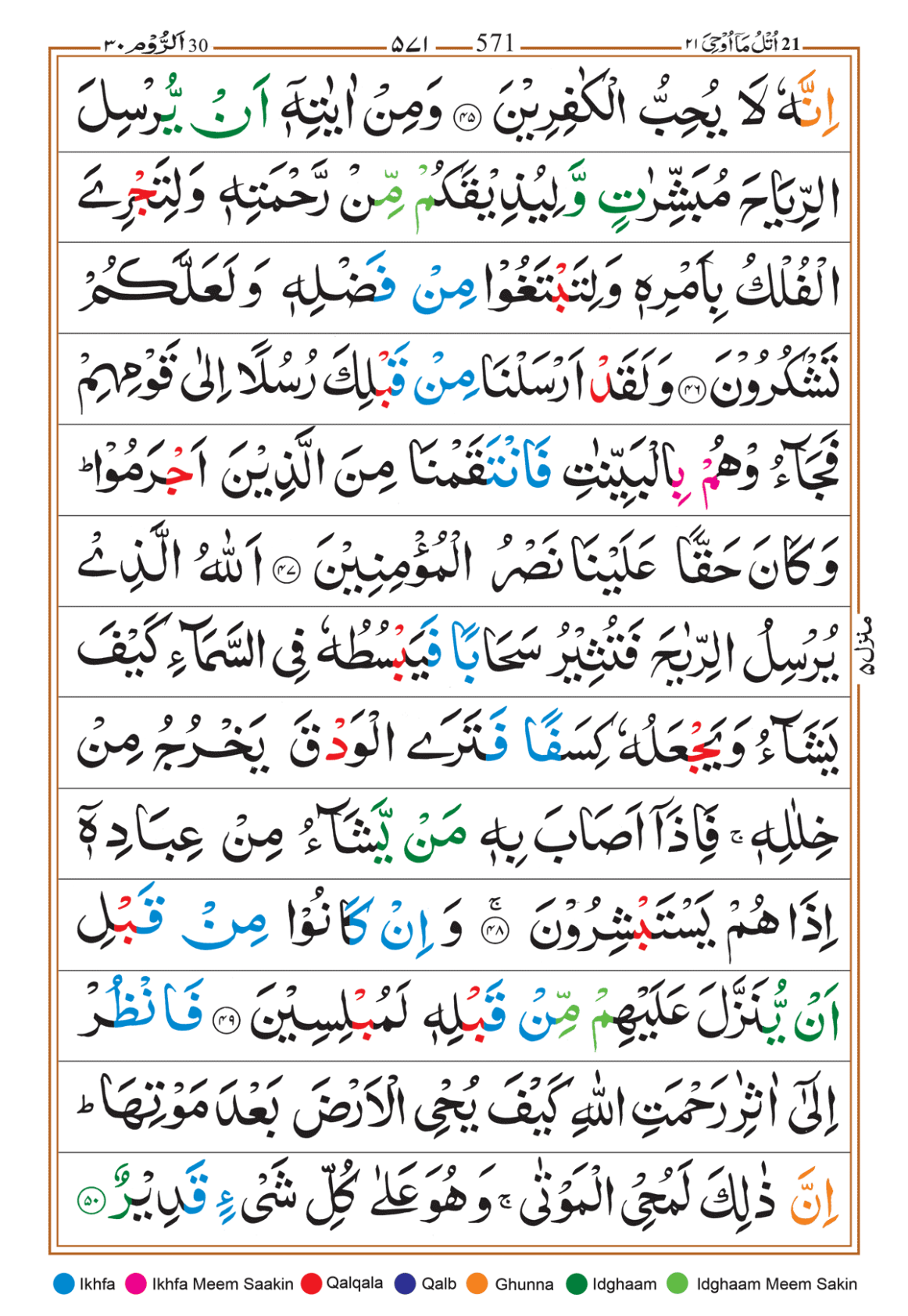 Page Background