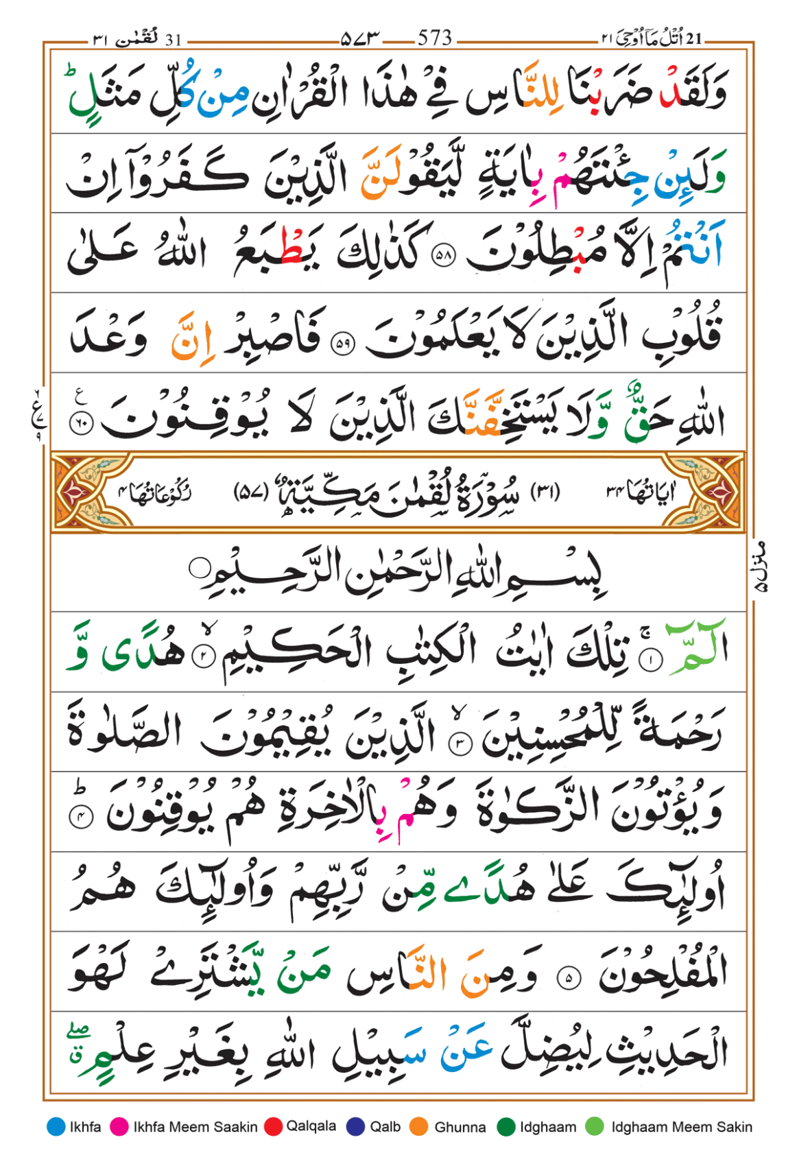 Page Background