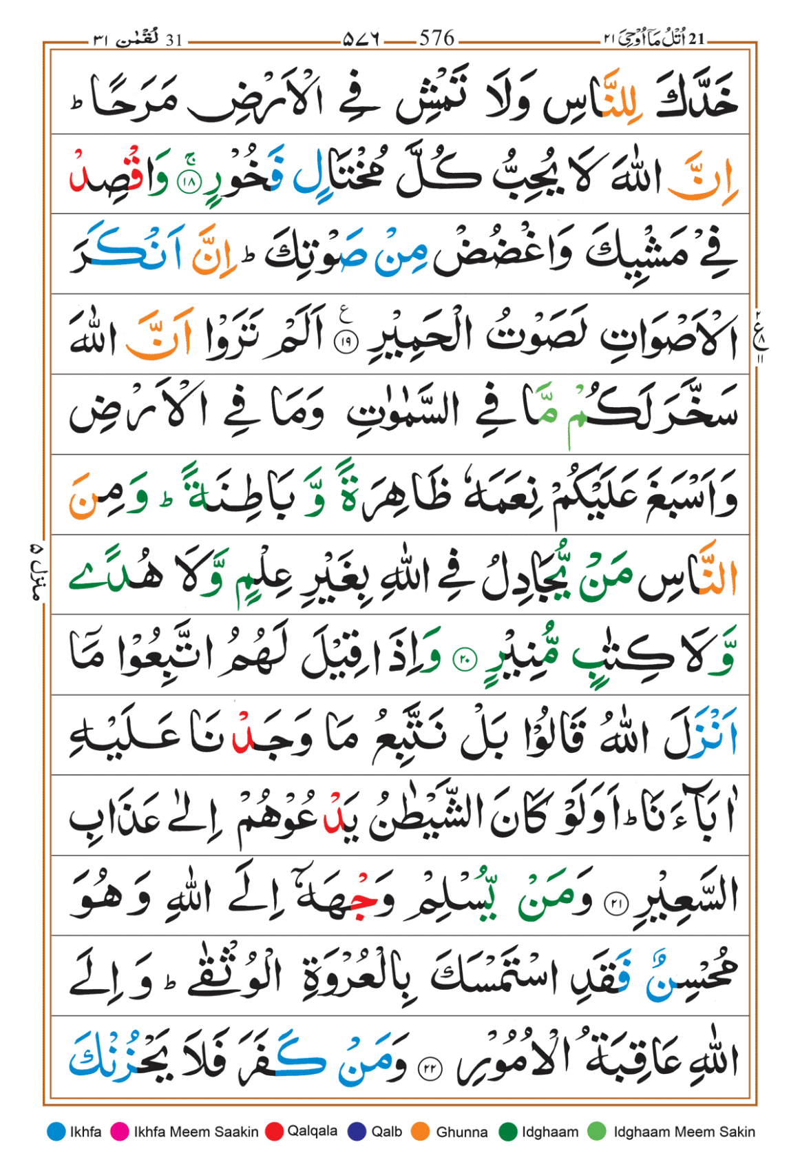 Page Background