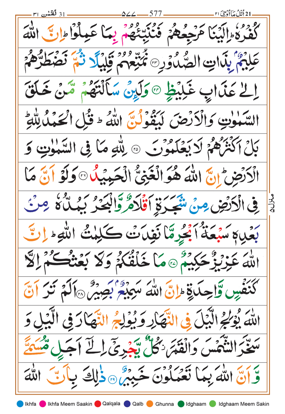 Page Background