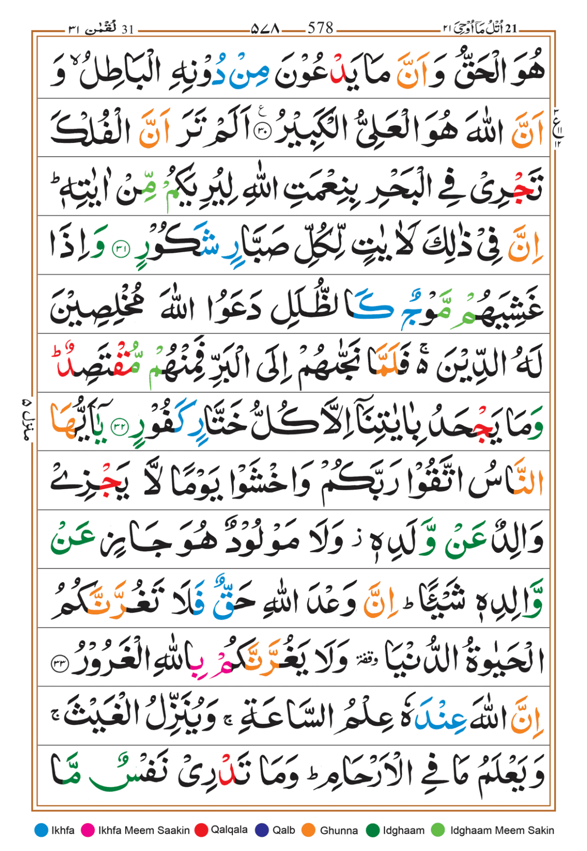 Page Background