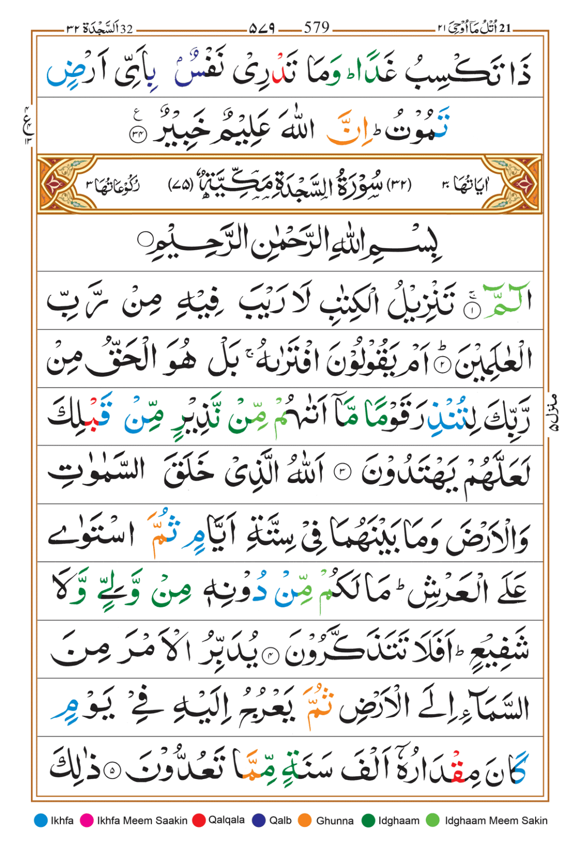 Page Background