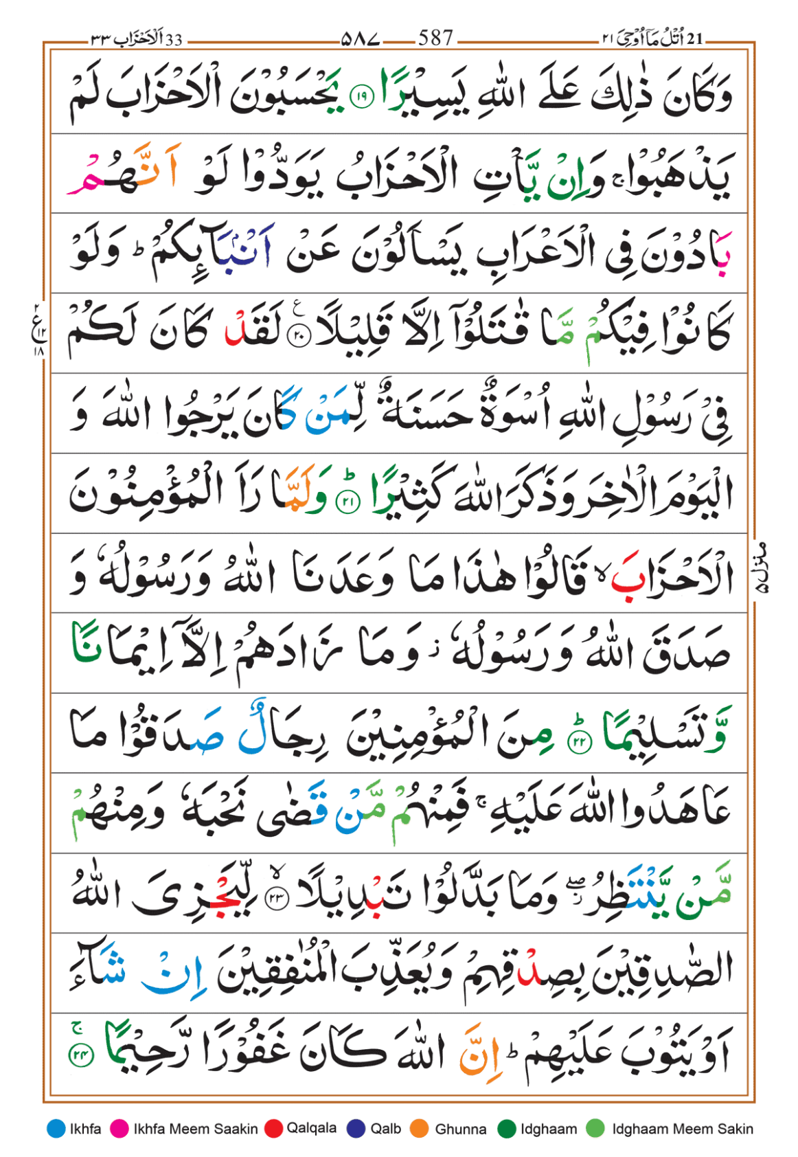 Page Background