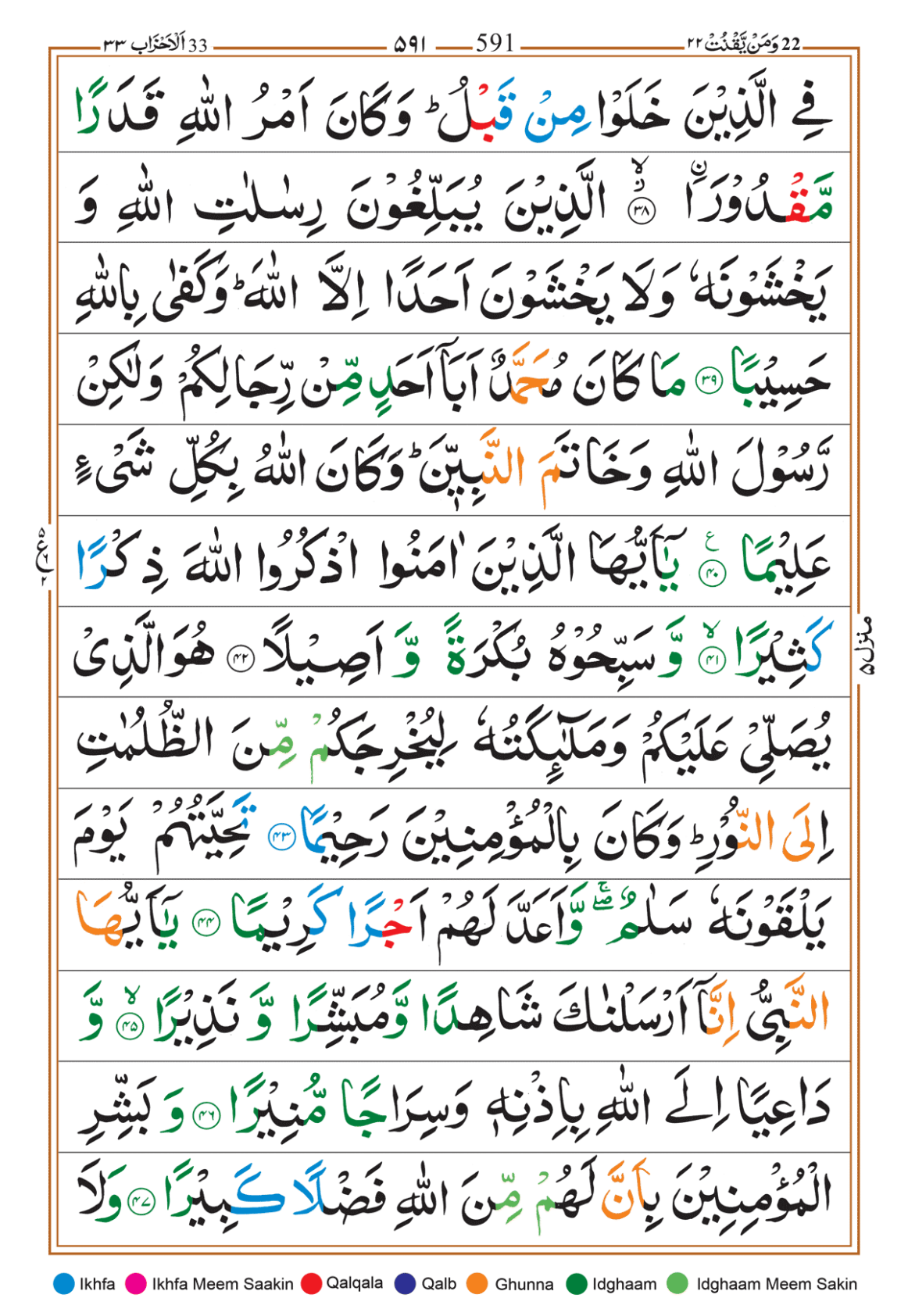 Page Background