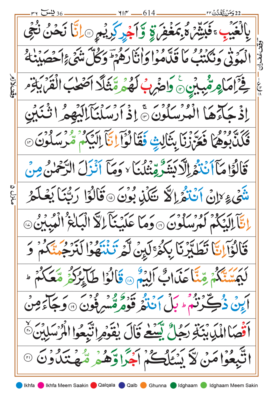 Page Background