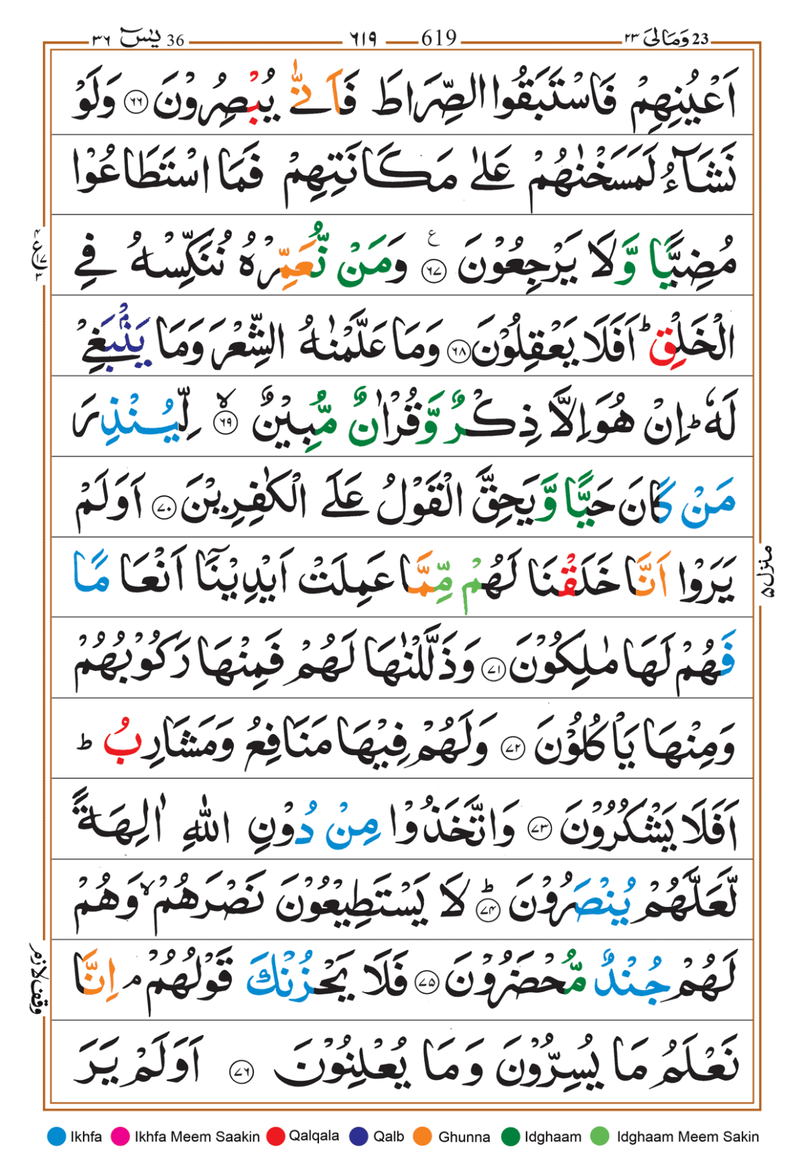 Page Background