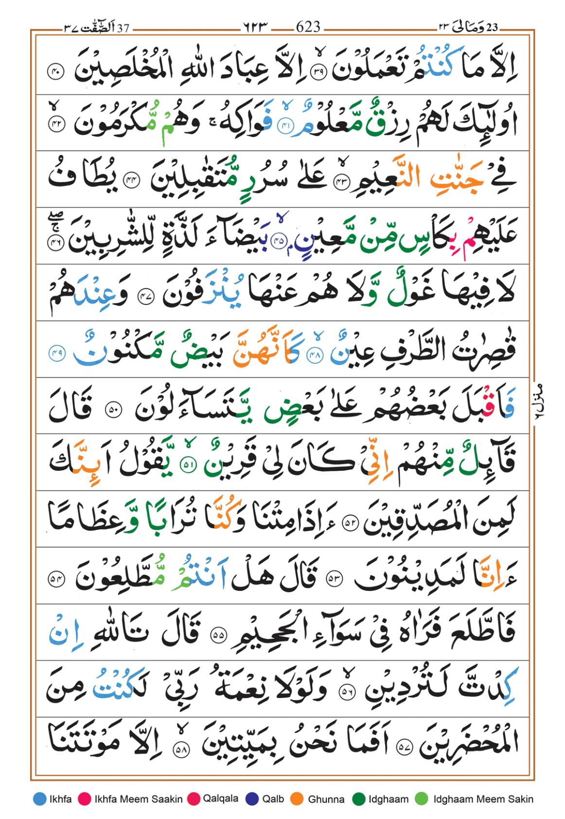 Page Background