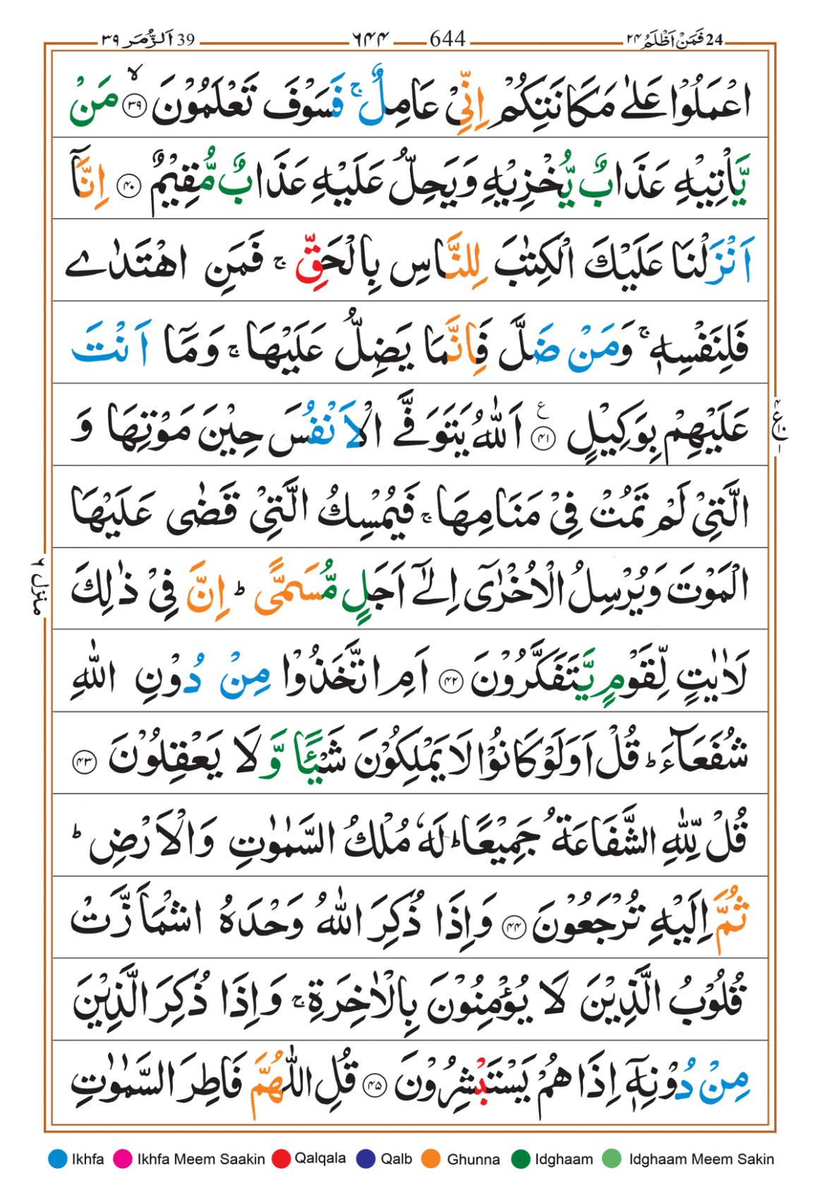 Page Background