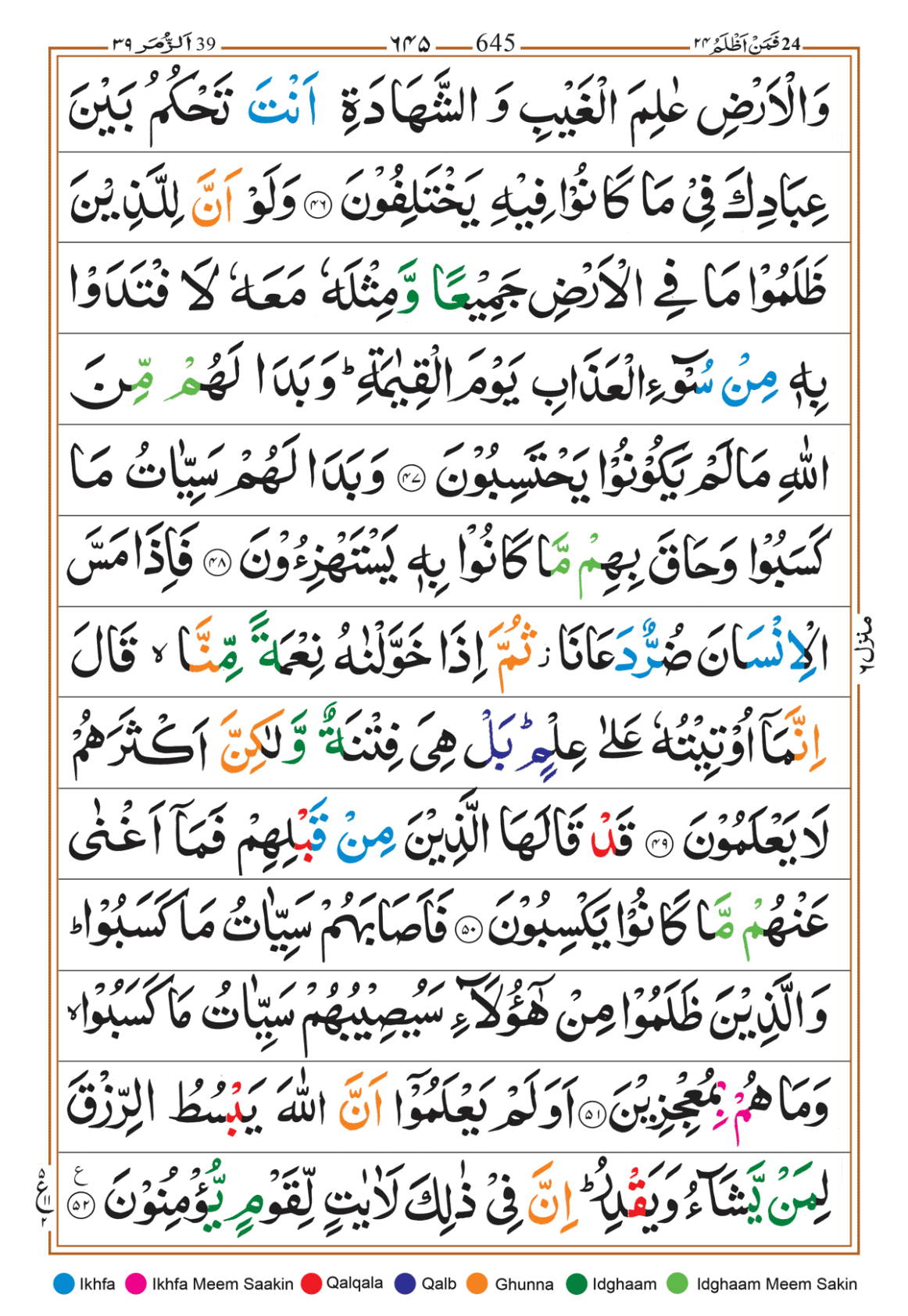 Page Background