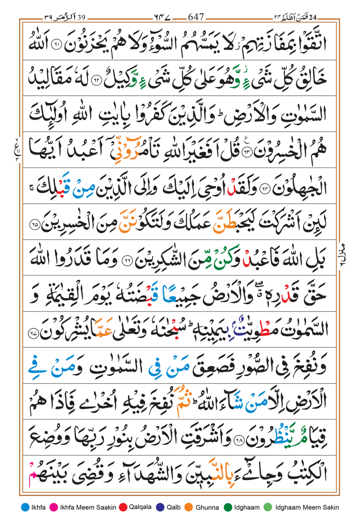 Page Background