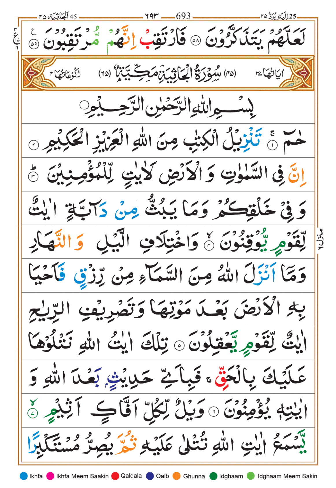 Page Background