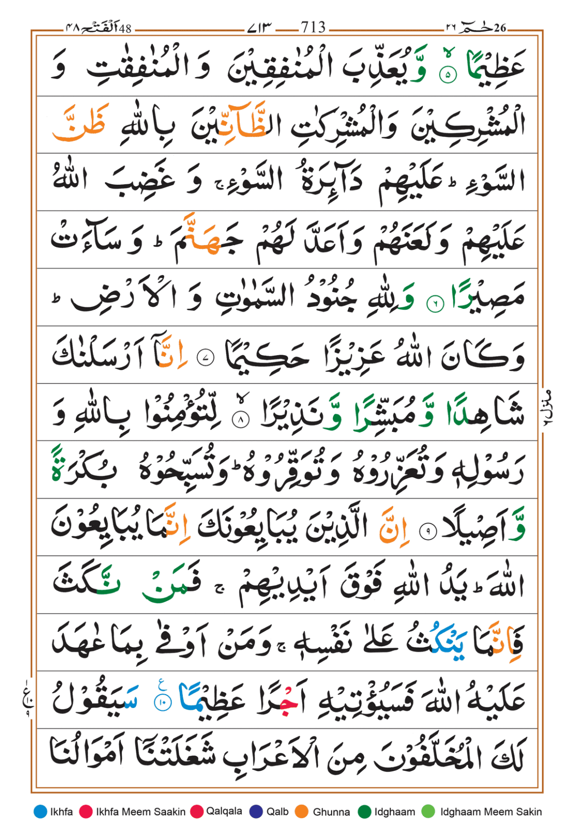 Page Background