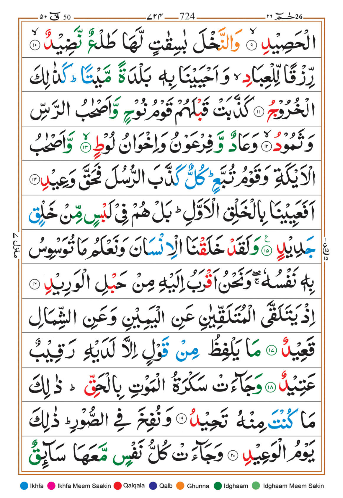 Page Background