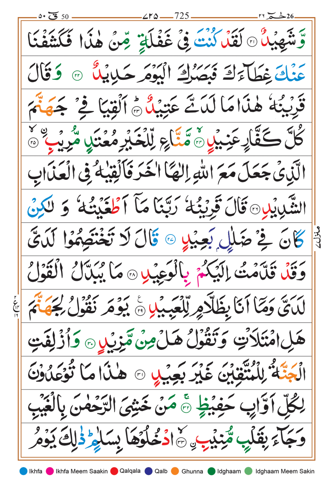 Page Background