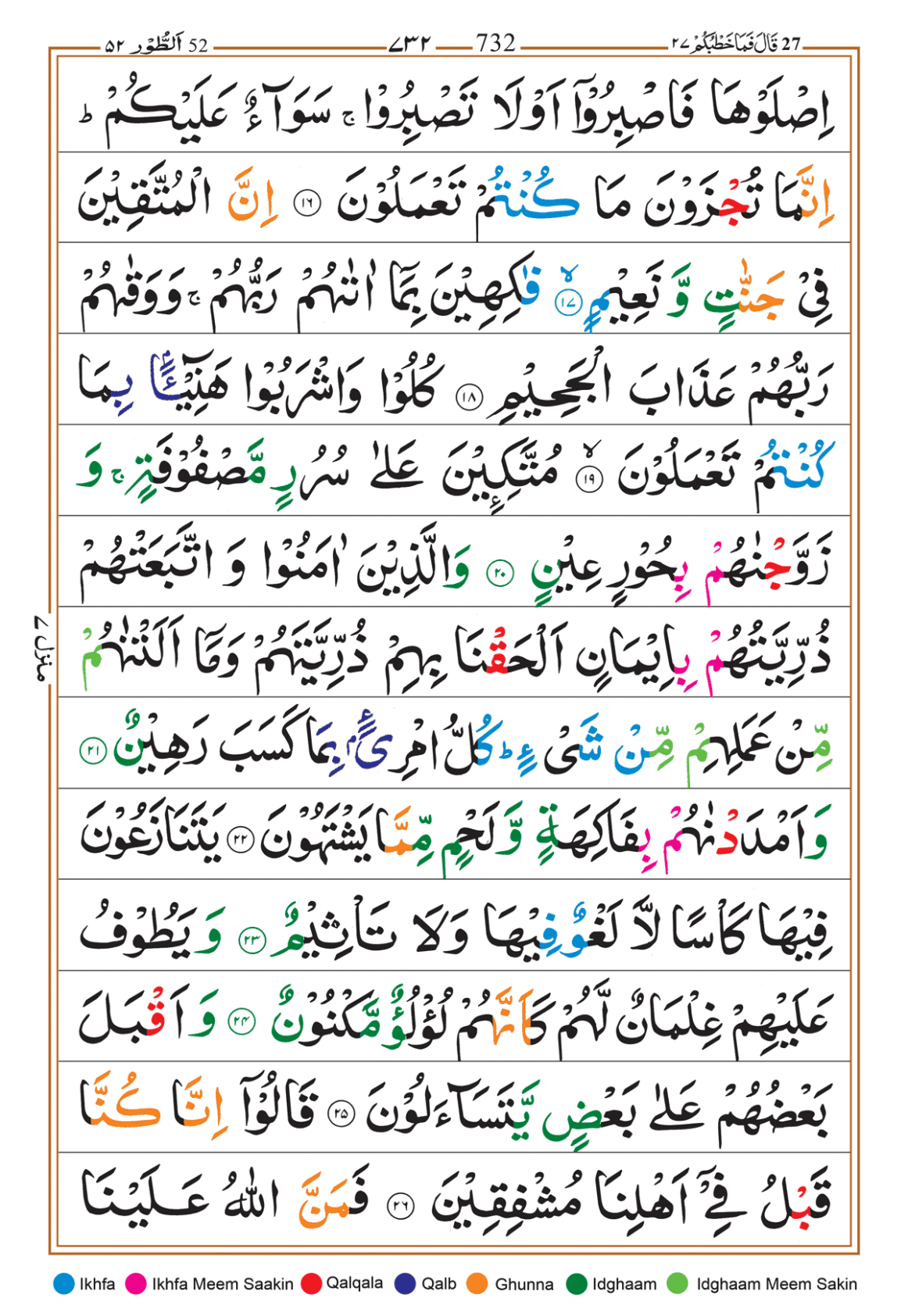 Page Background