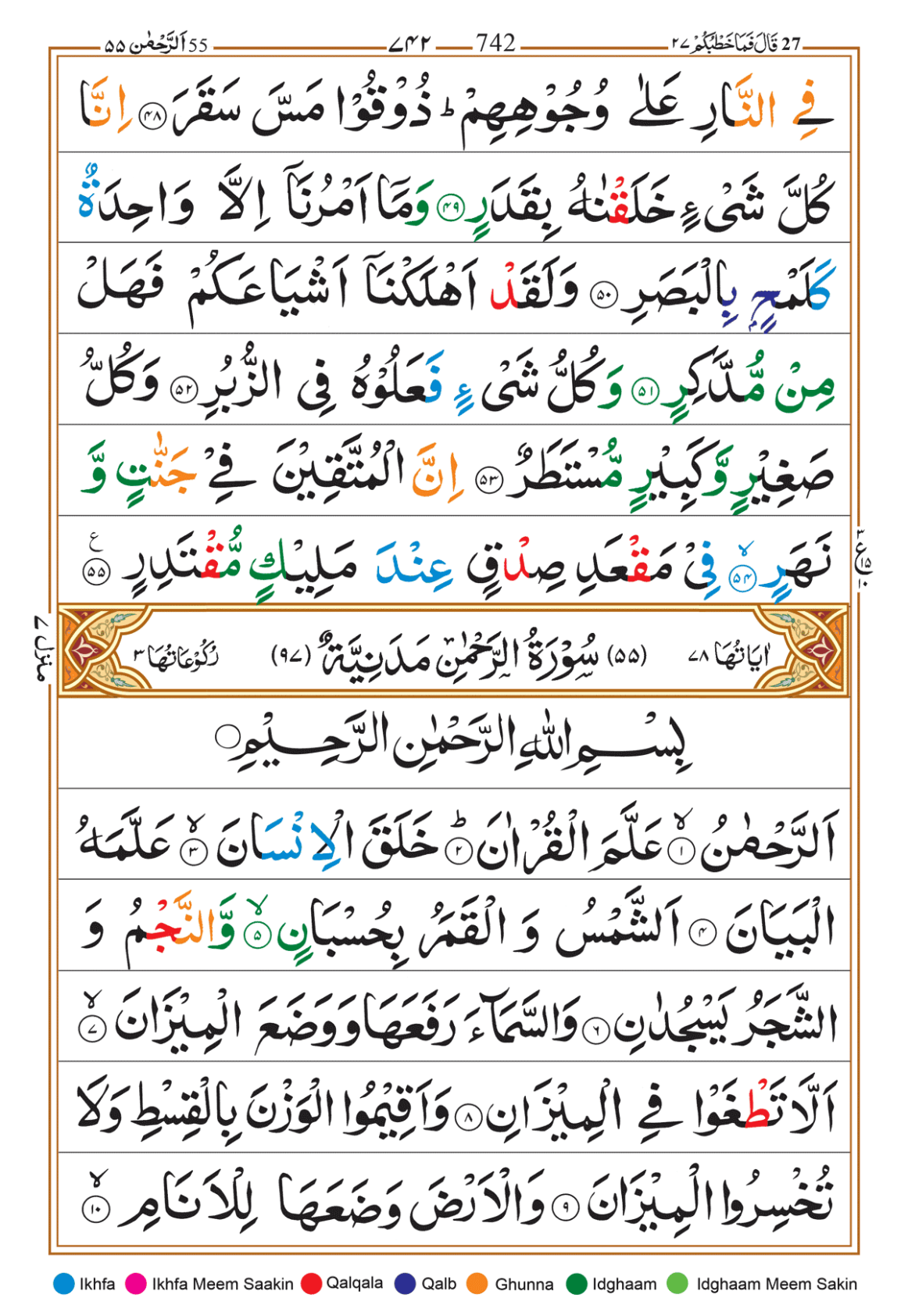 Page Background