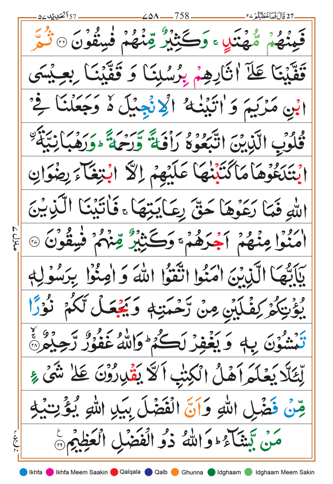 Page Background