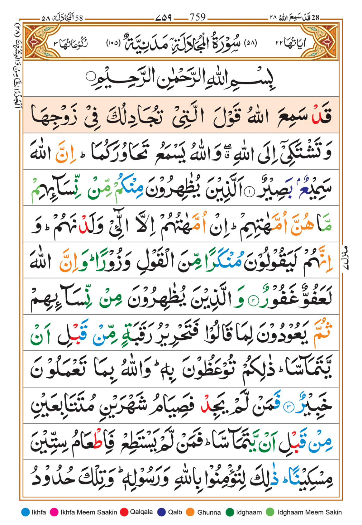 Page Background